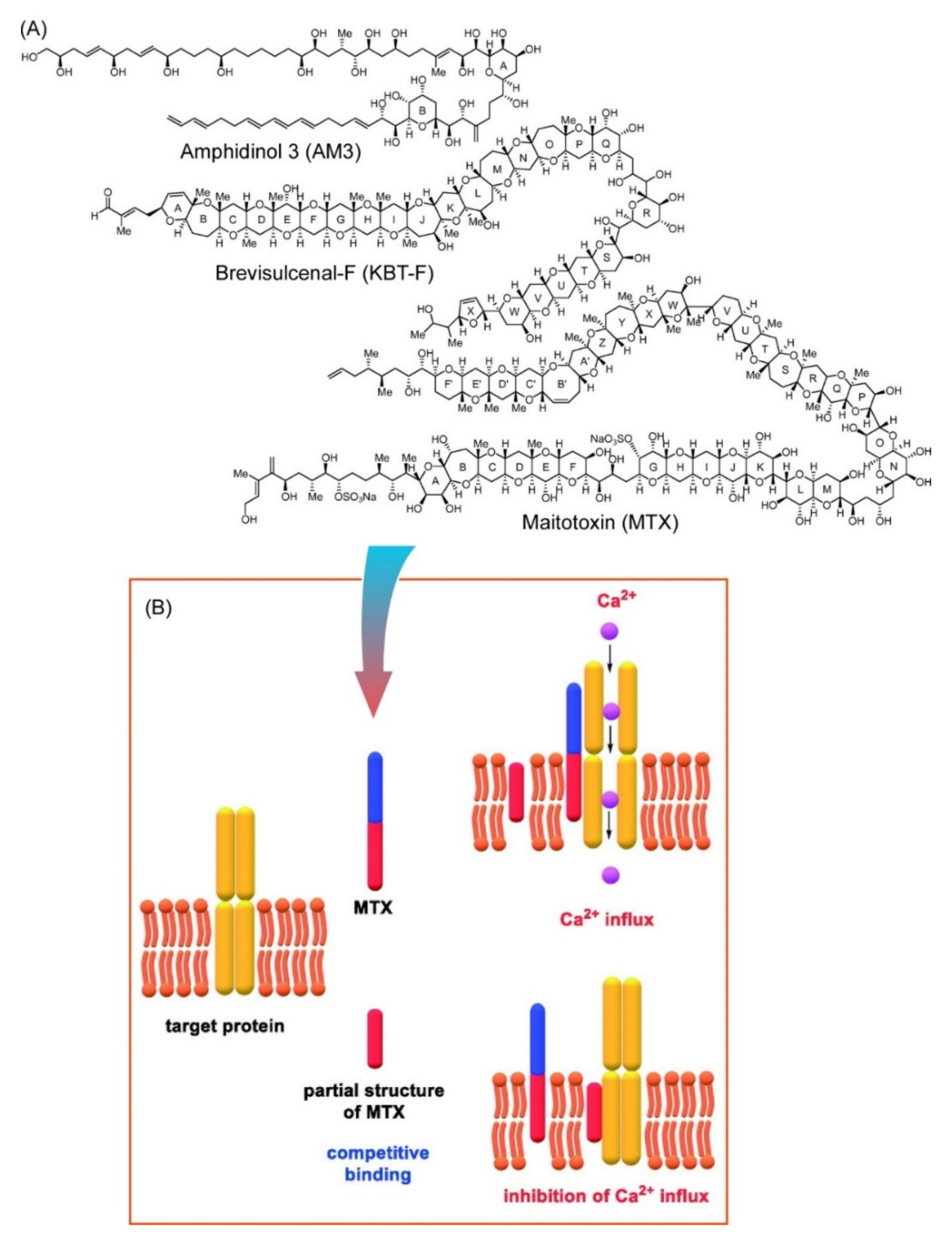 Ijms 23 03577 g003 Ijms 23 03577 g003