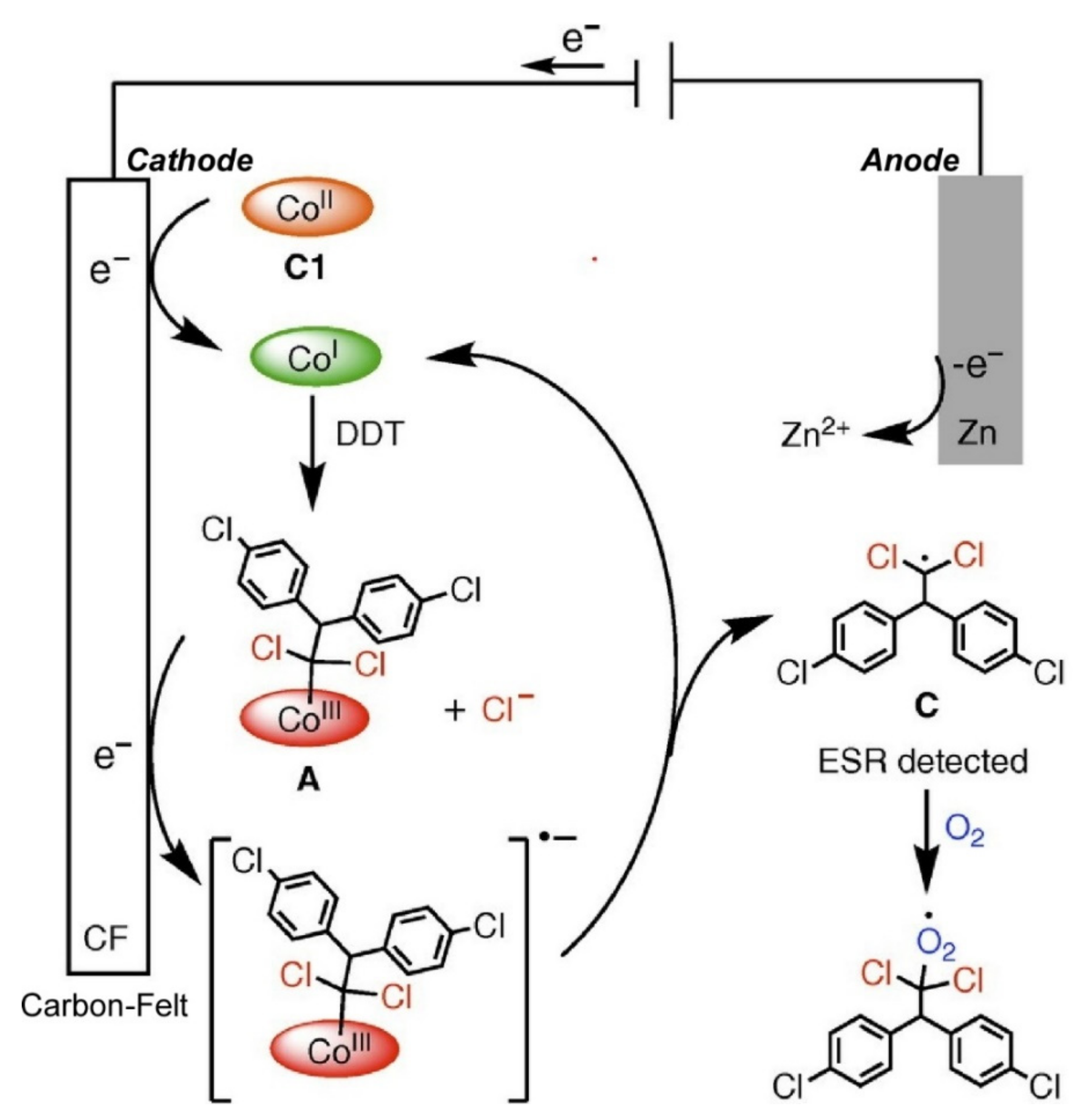 Ijms 23 03577 g005 Ijms 23 03577 g005