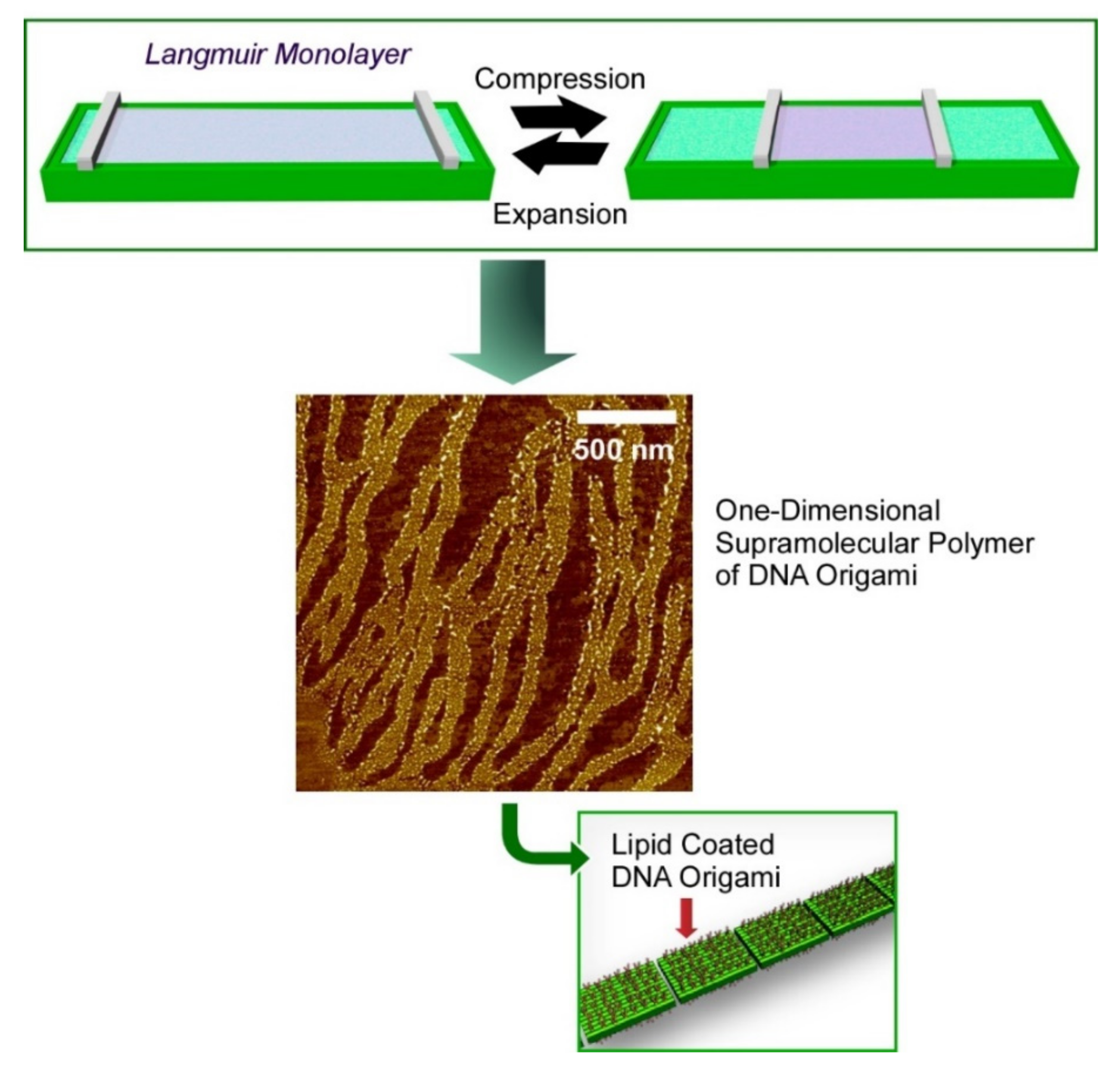 Ijms 23 03577 g009 Ijms 23 03577 g009