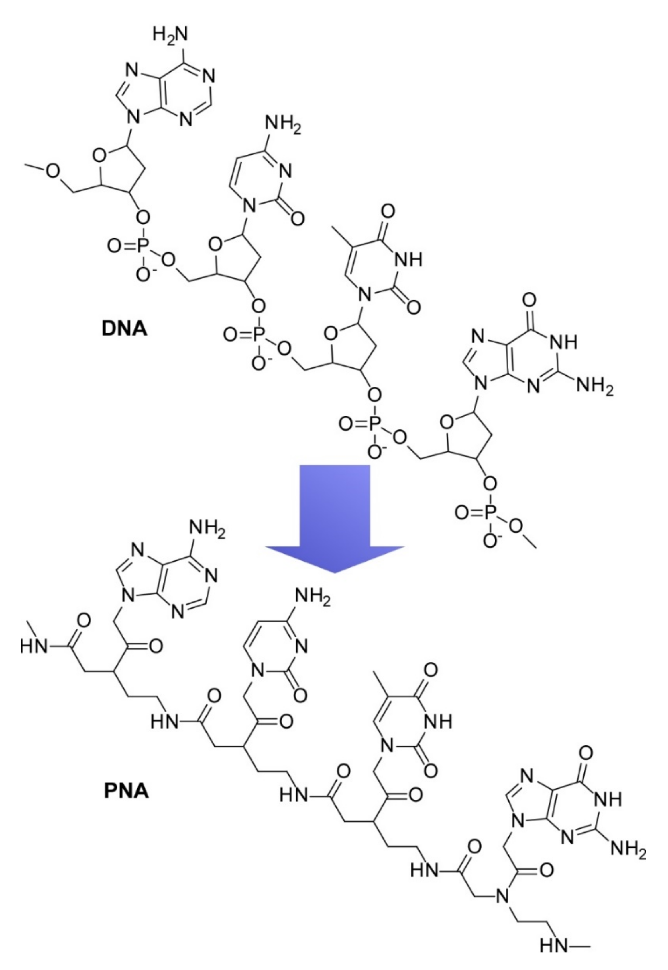 Ijms 23 03577 g012 Ijms 23 03577 g012