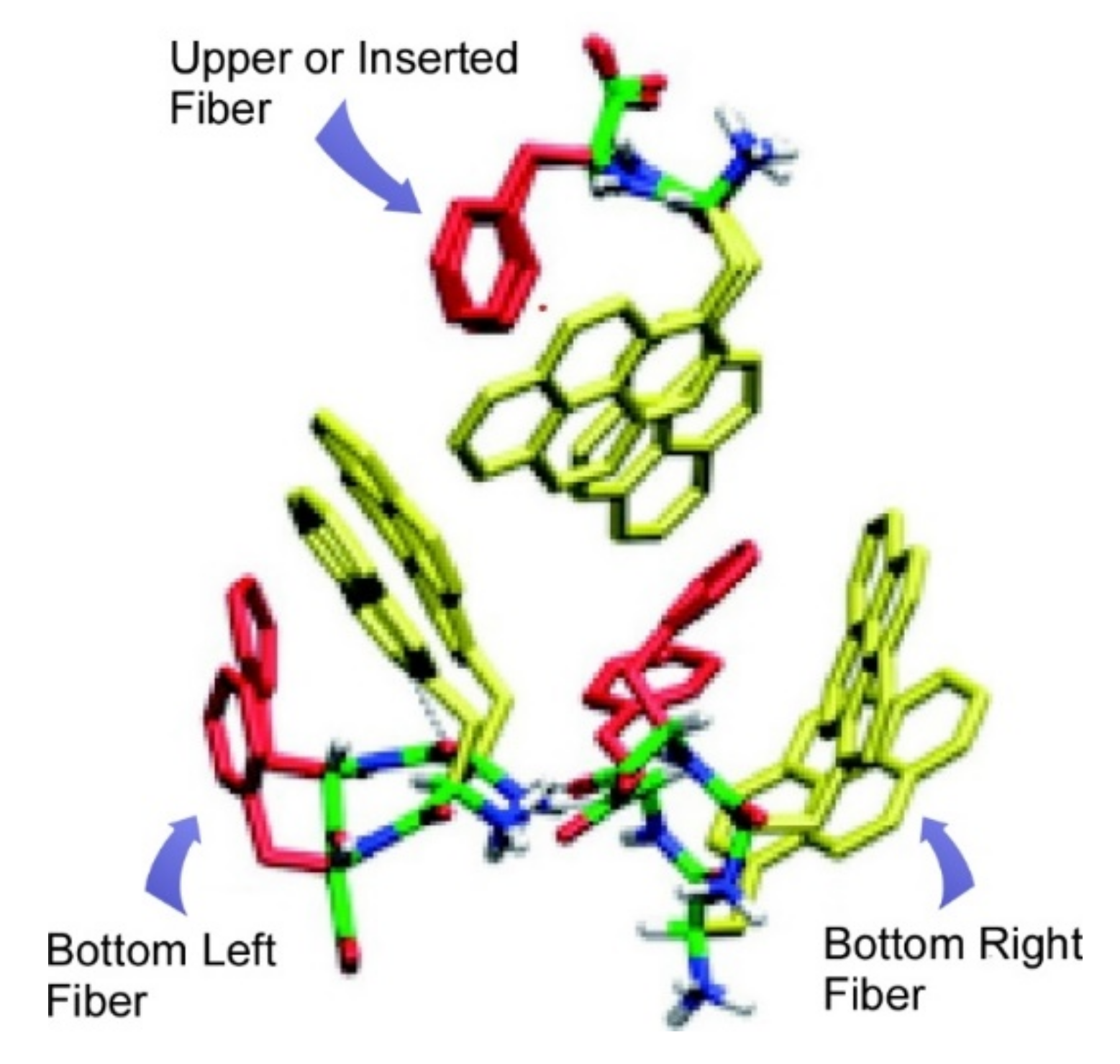 Ijms 23 03577 g017 Ijms 23 03577 g017