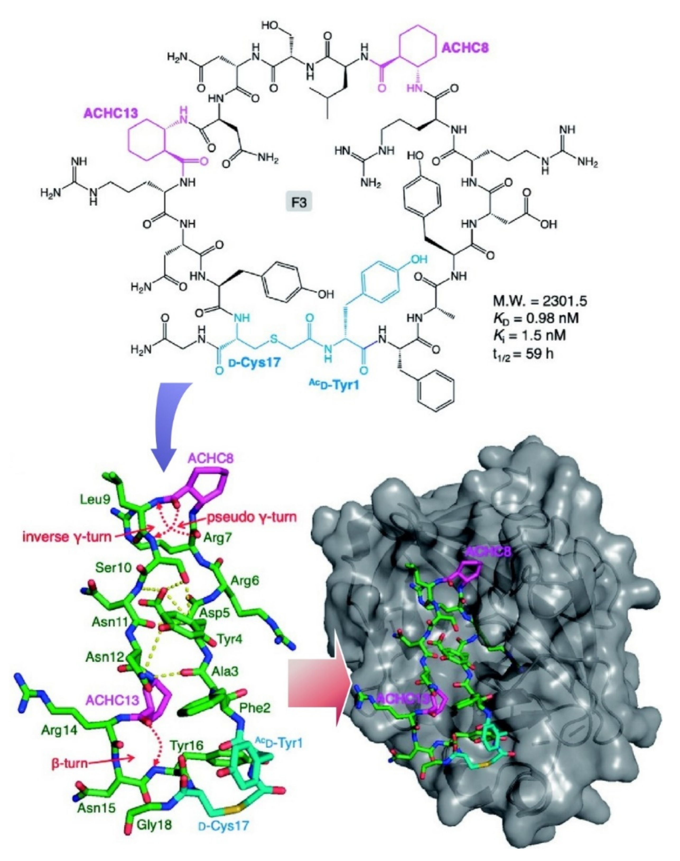 Ijms 23 03577 g018 Ijms 23 03577 g018