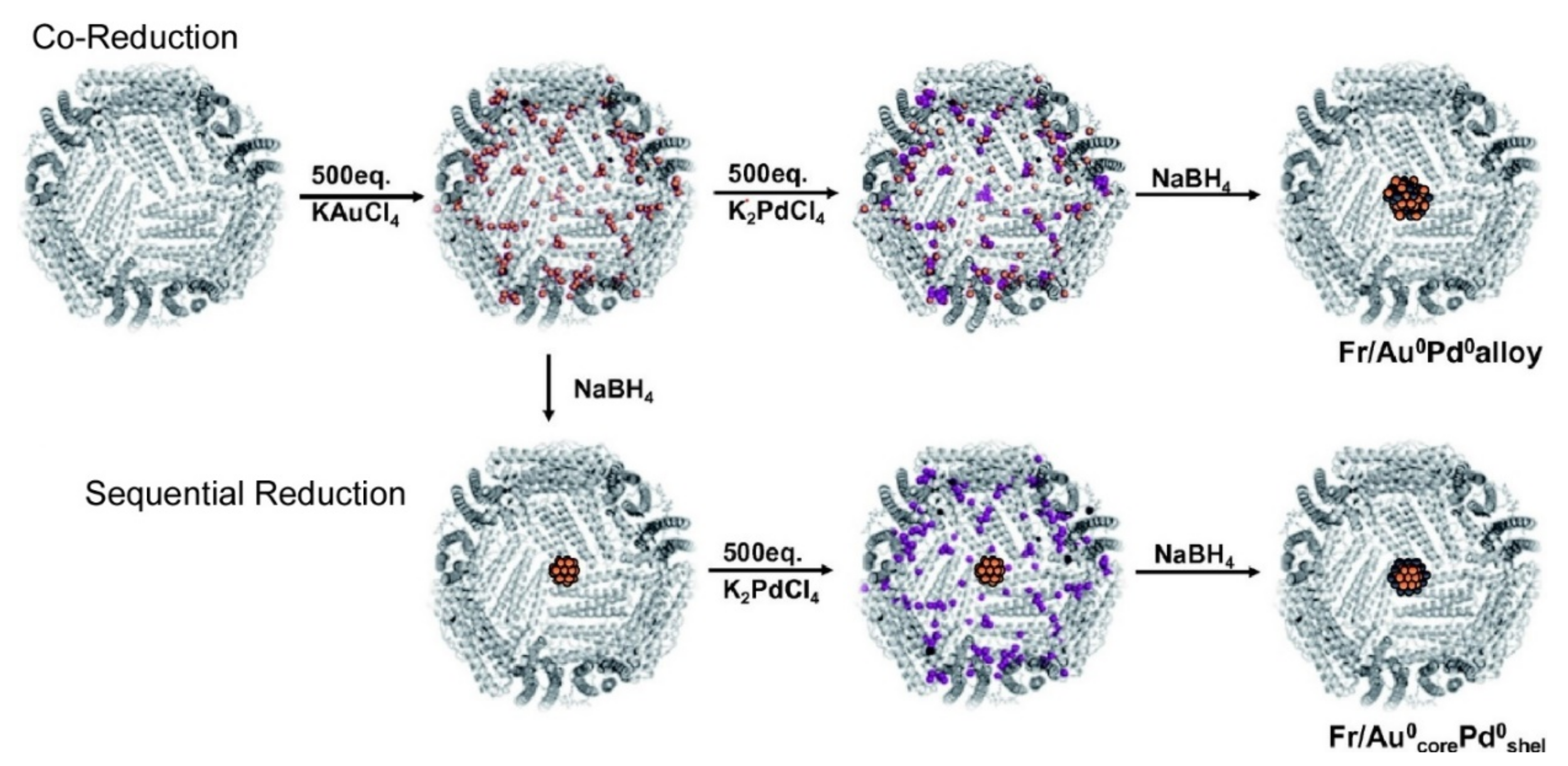 Ijms 23 03577 g023 Ijms 23 03577 g023