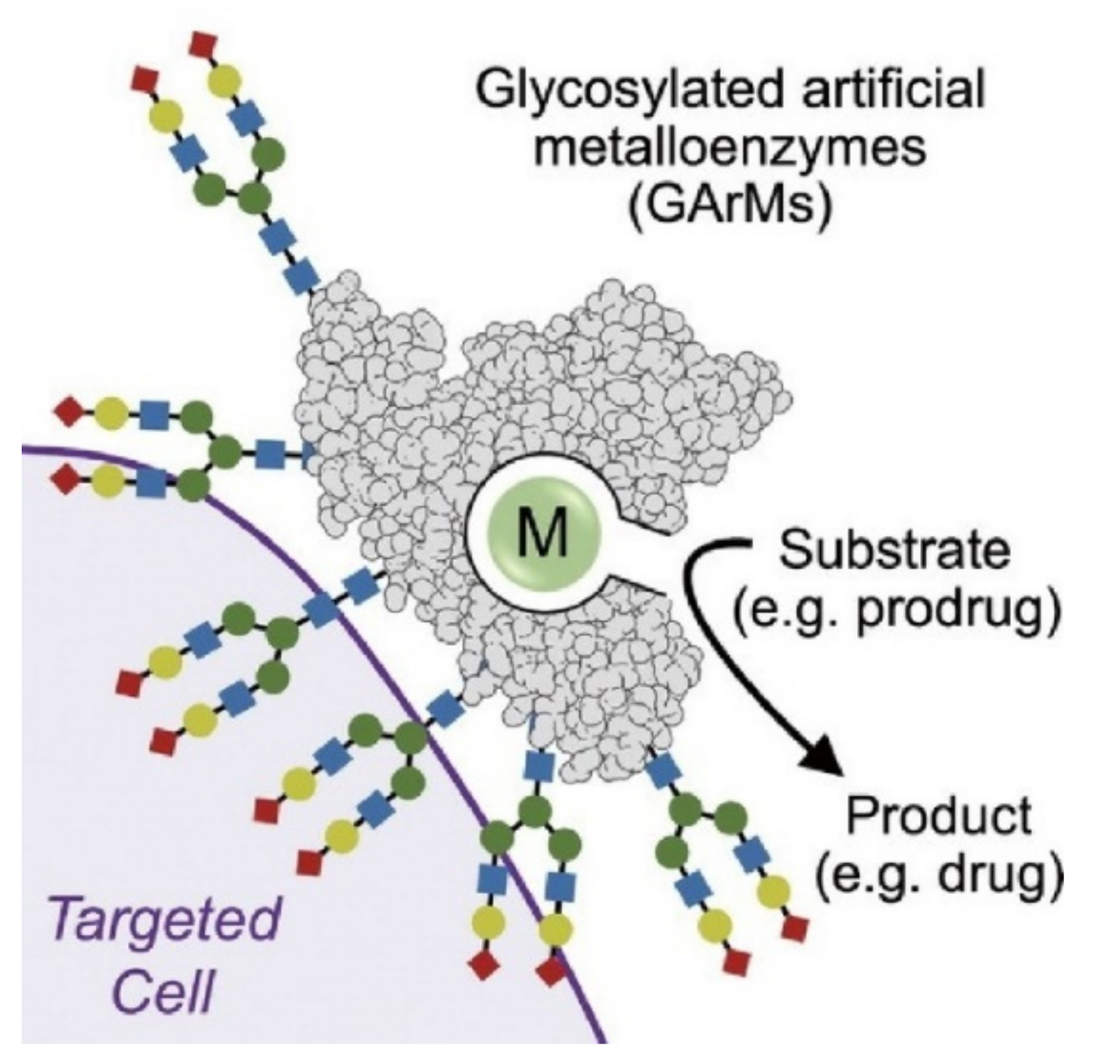 Ijms 23 03577 g024 Ijms 23 03577 g024