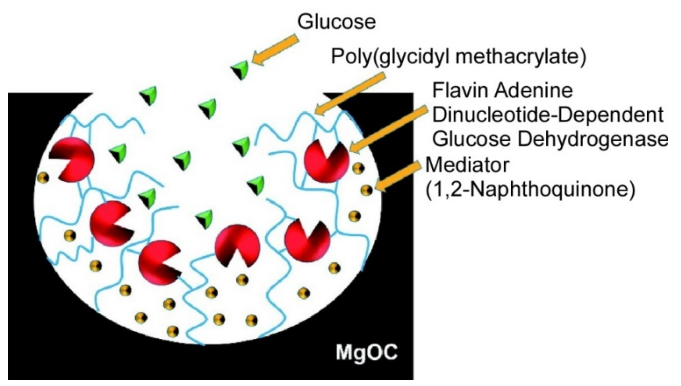 Ijms 23 03577 g027 Ijms 23 03577 g027