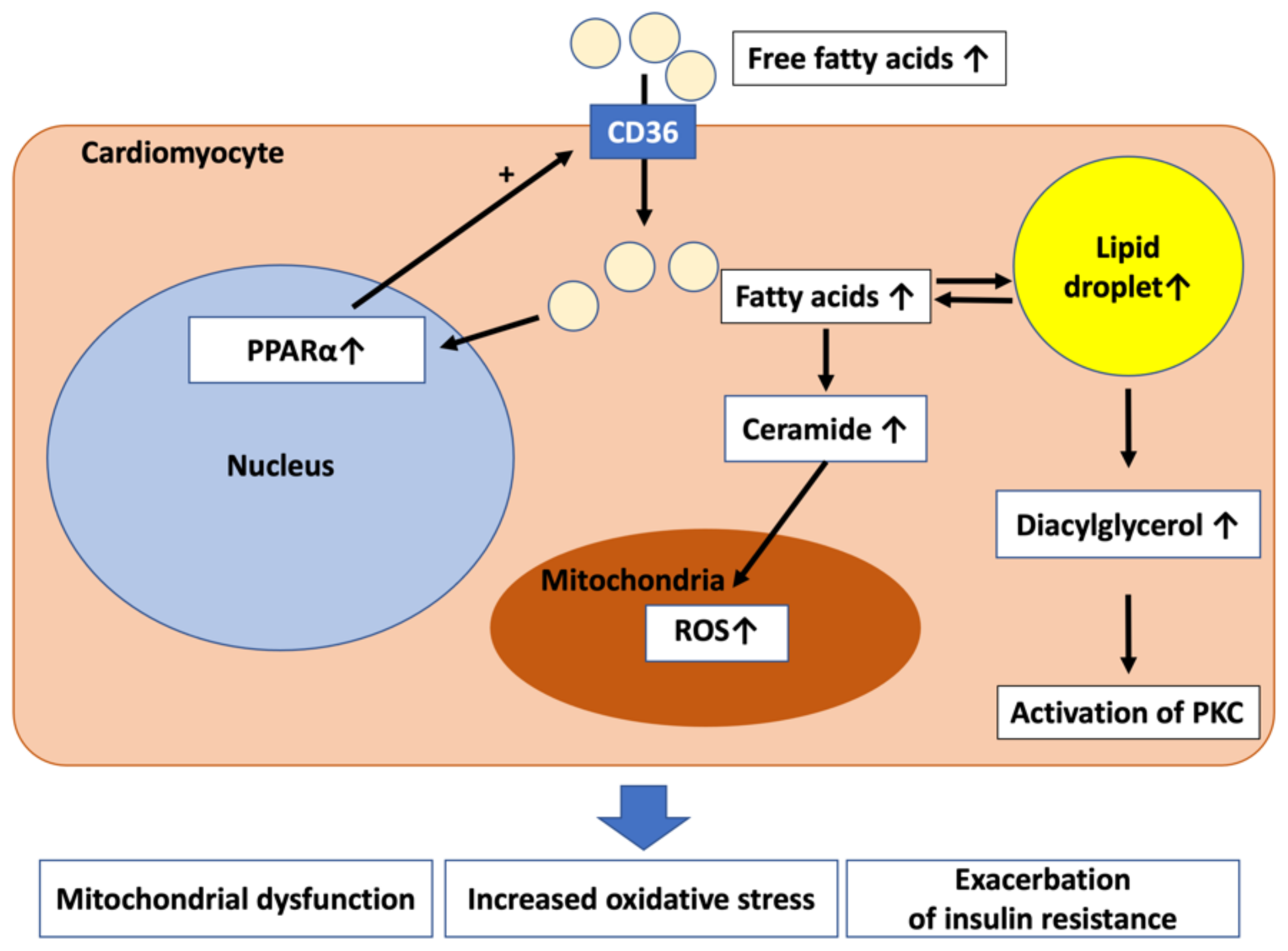 Ijms 23 03587 g001 Ijms 23 03587 g001