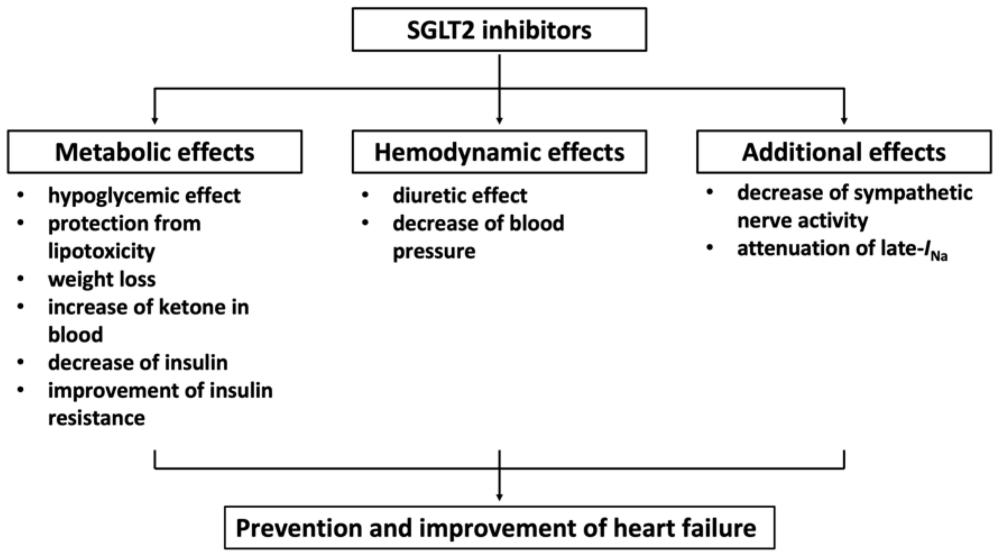 Ijms 23 03587 g002 Ijms 23 03587 g002