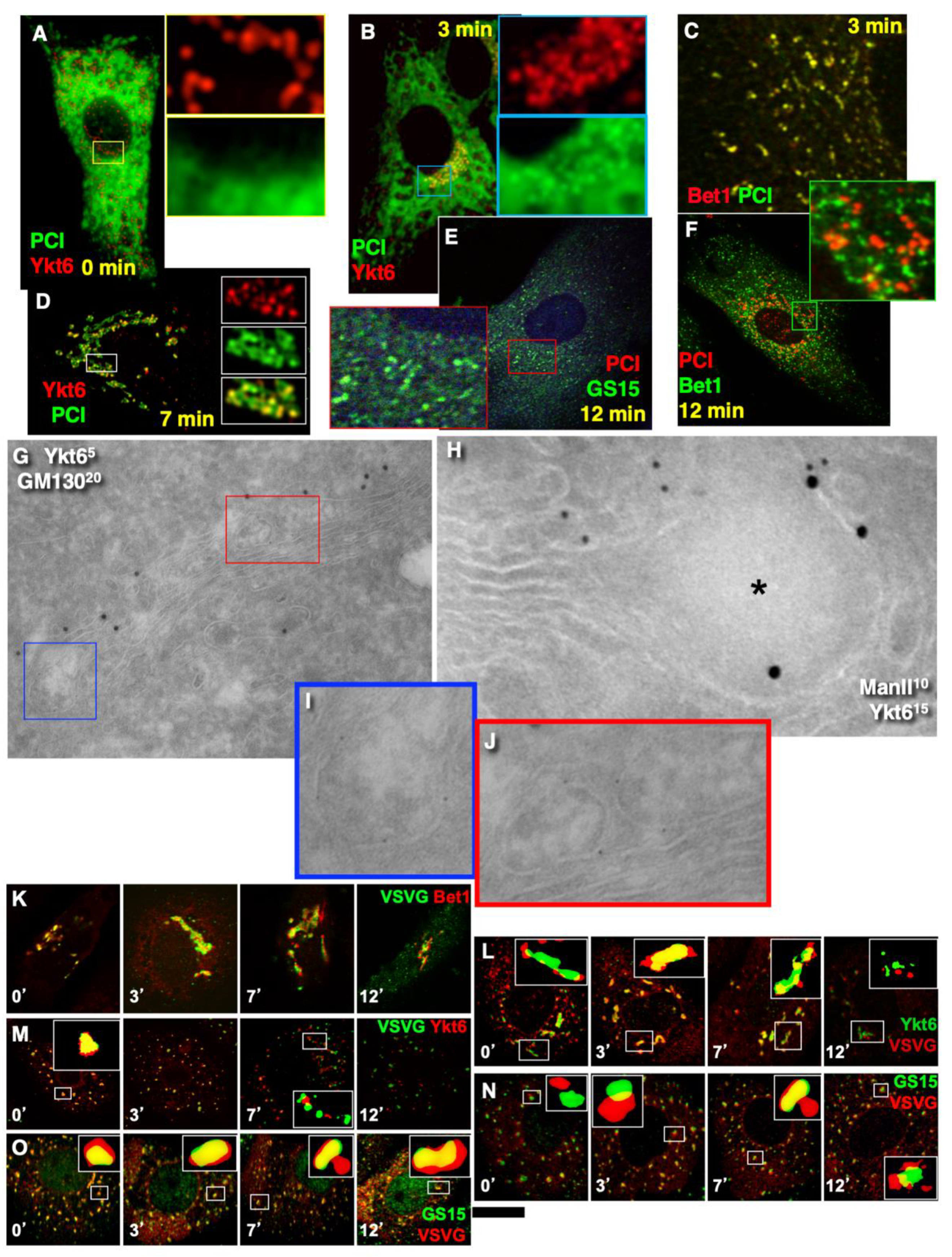 Ijms 23 03590 g010 Ijms 23 03590 g010