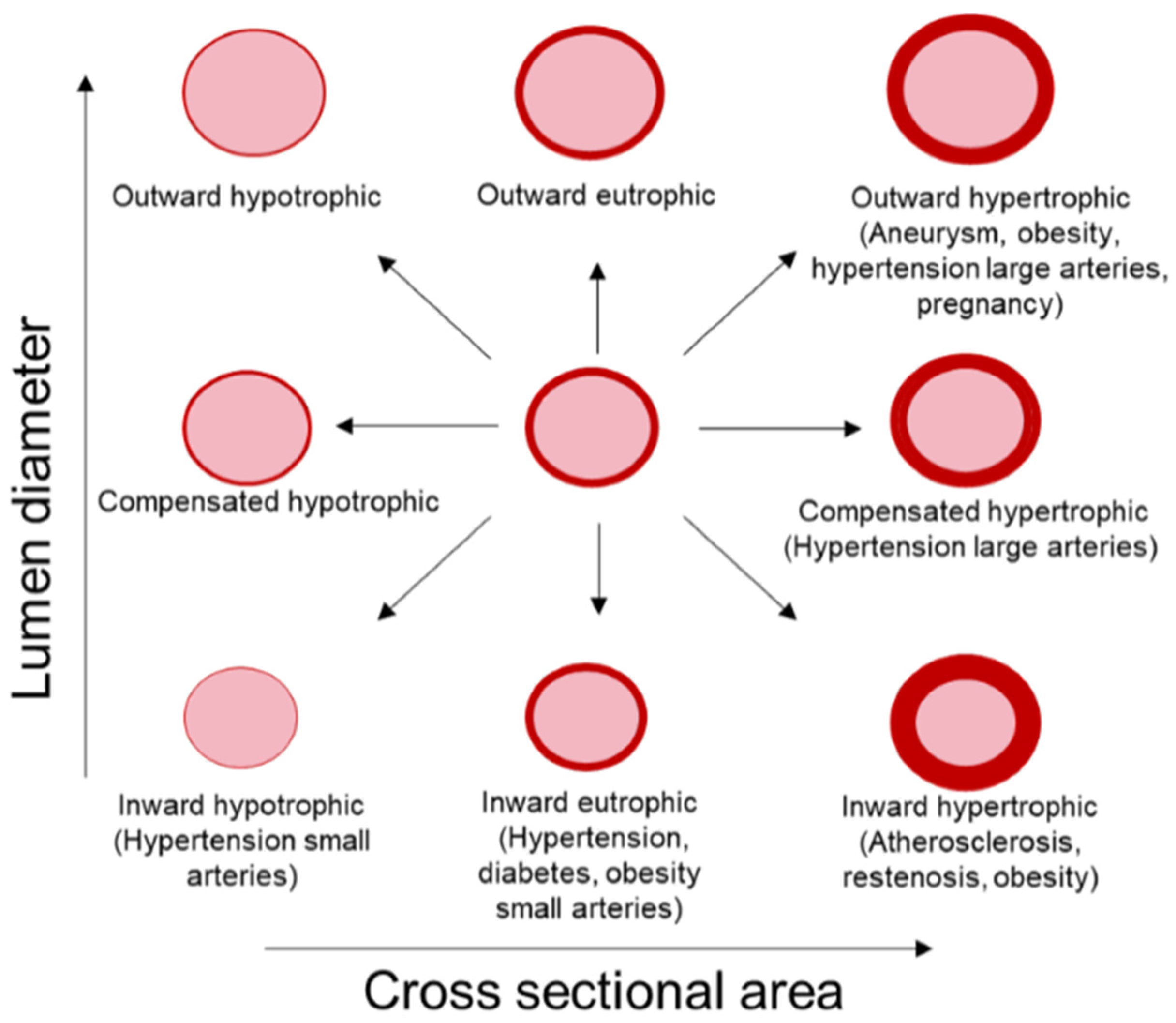 Ijms 23 03592 g001 Ijms 23 03592 g001