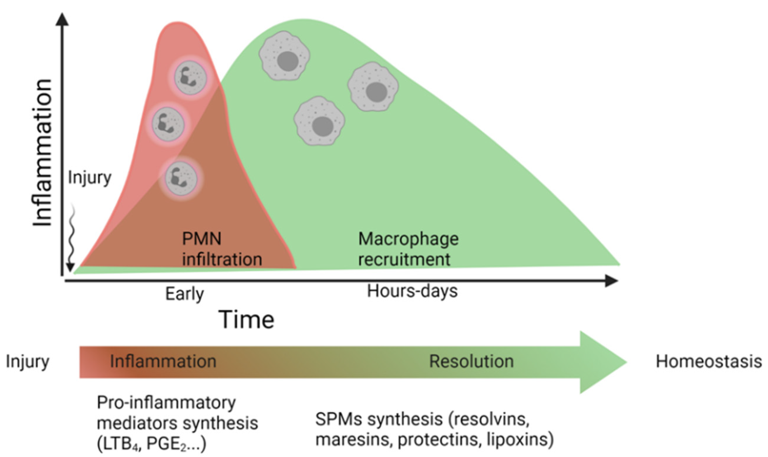 Ijms 23 03592 g002 Ijms 23 03592 g002