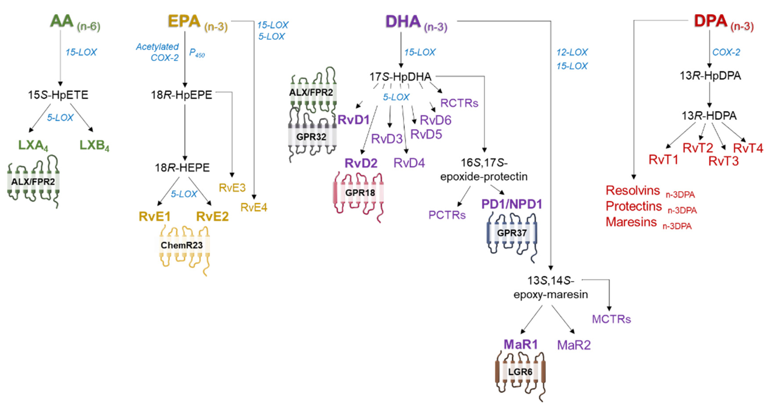 Ijms 23 03592 g003 Ijms 23 03592 g003