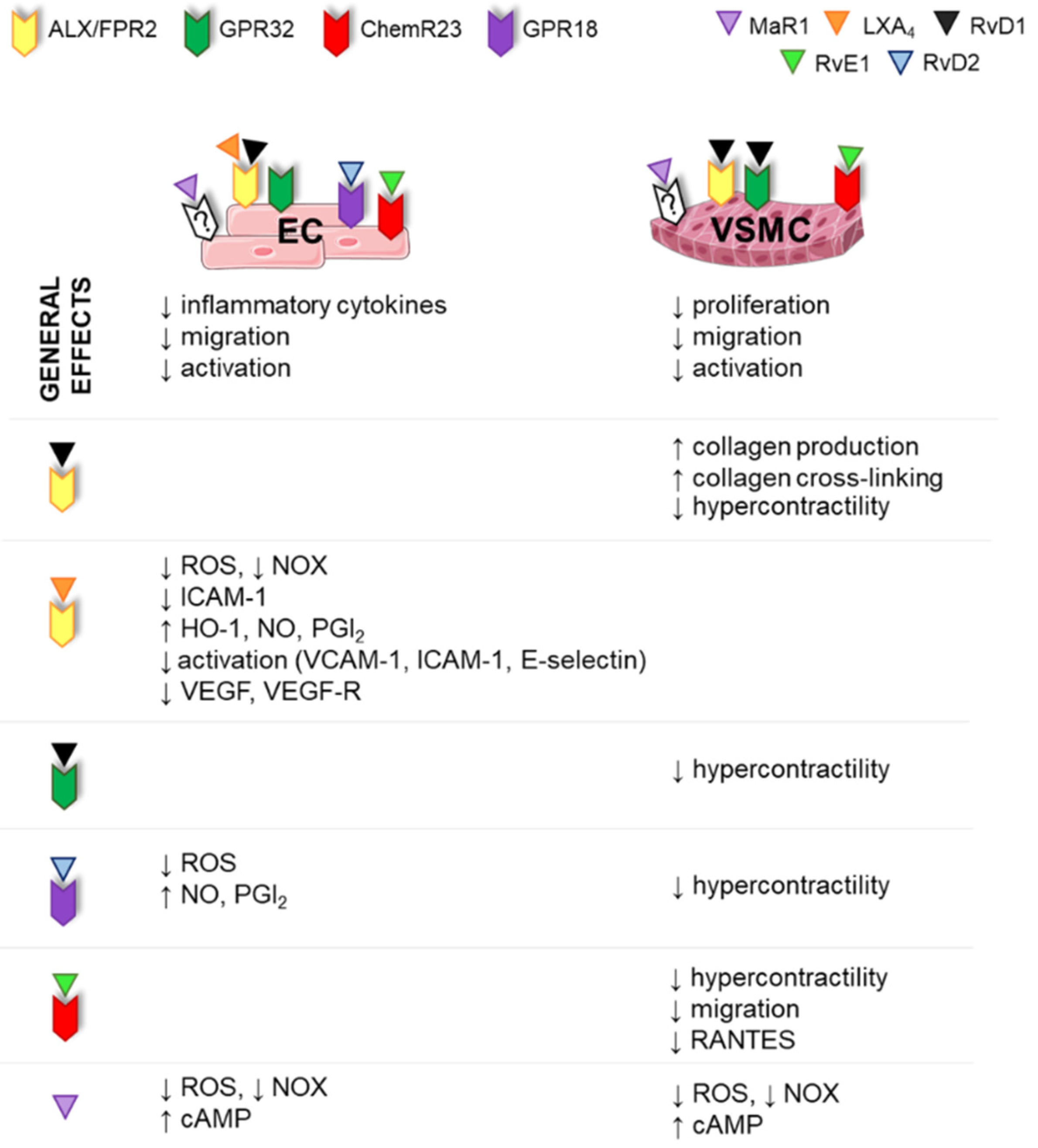 Ijms 23 03592 g005 Ijms 23 03592 g005