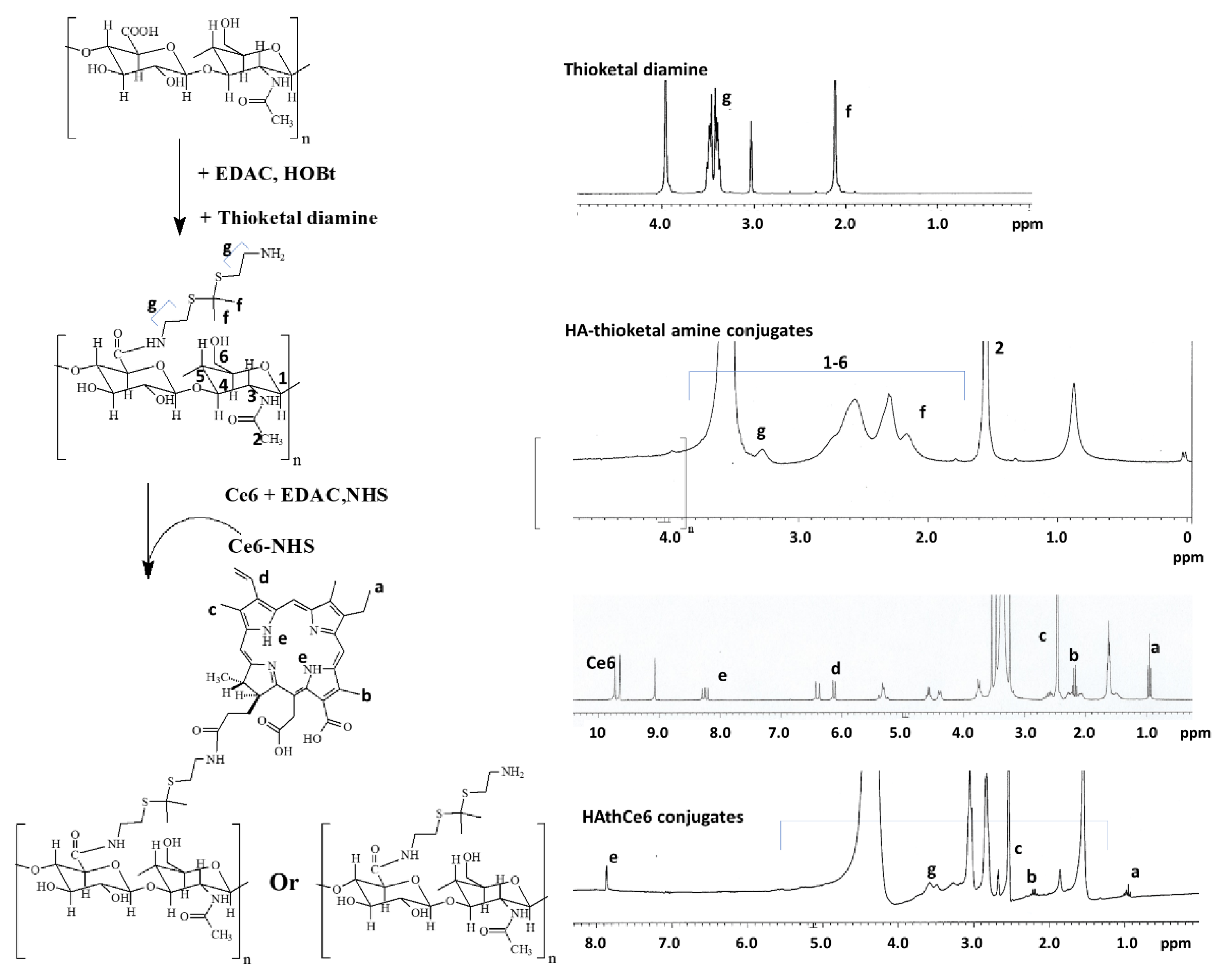 Ijms 23 03594 g001 Ijms 23 03594 g001