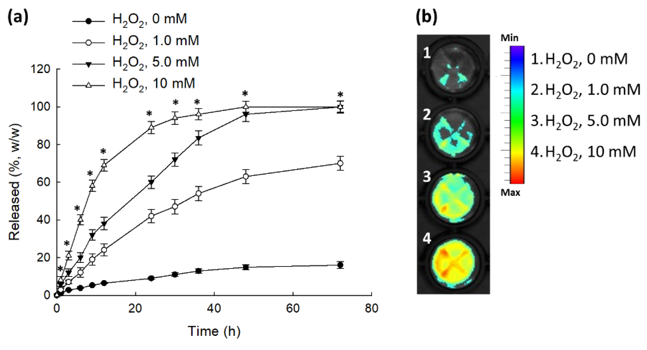 Ijms 23 03594 g004 Ijms 23 03594 g004