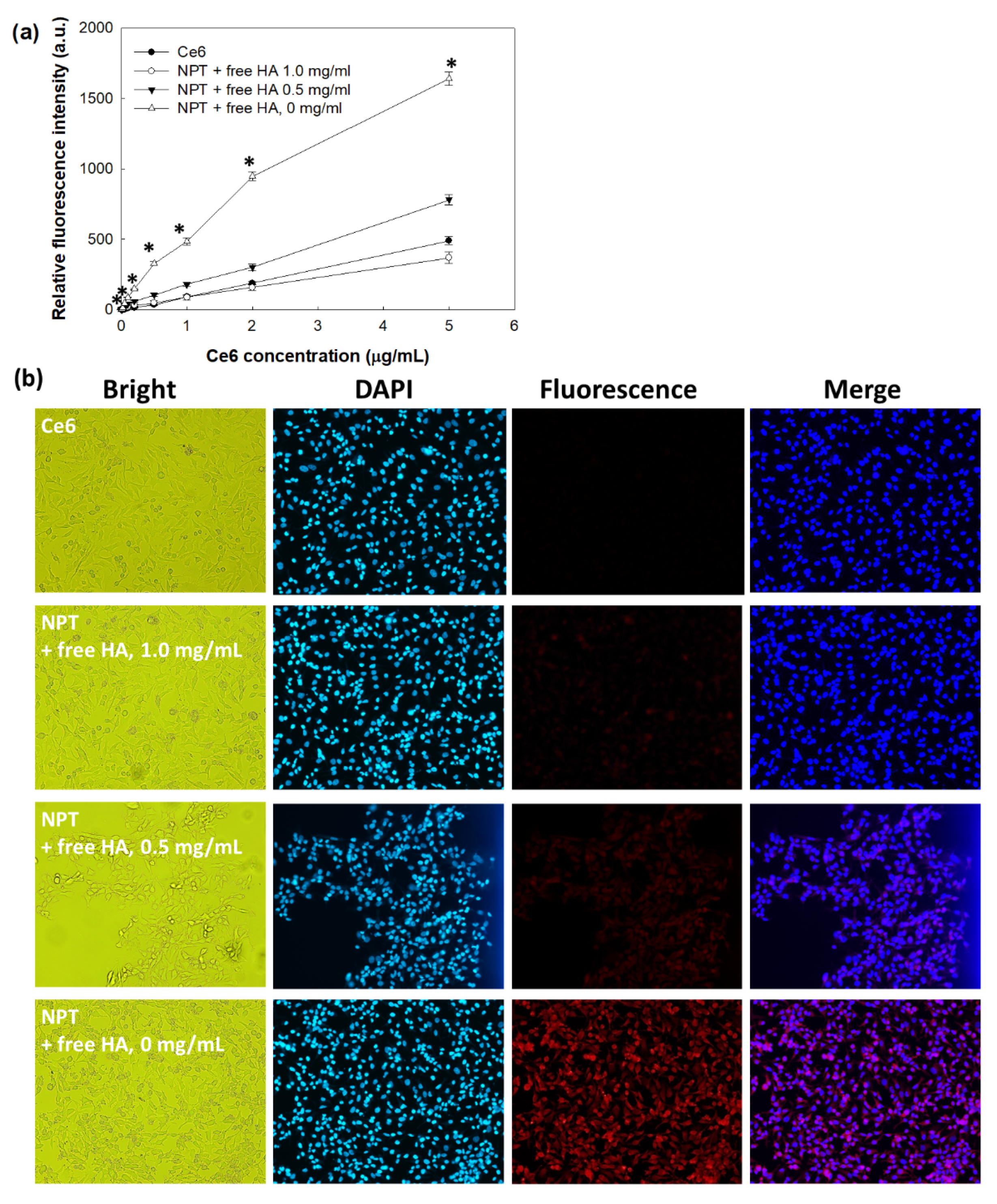 Ijms 23 03594 g005 Ijms 23 03594 g005