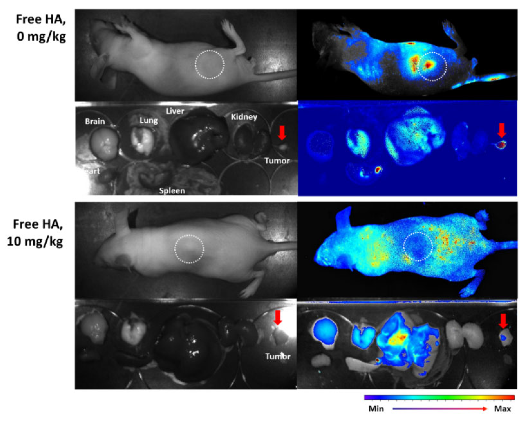 Ijms 23 03594 g008 Ijms 23 03594 g008