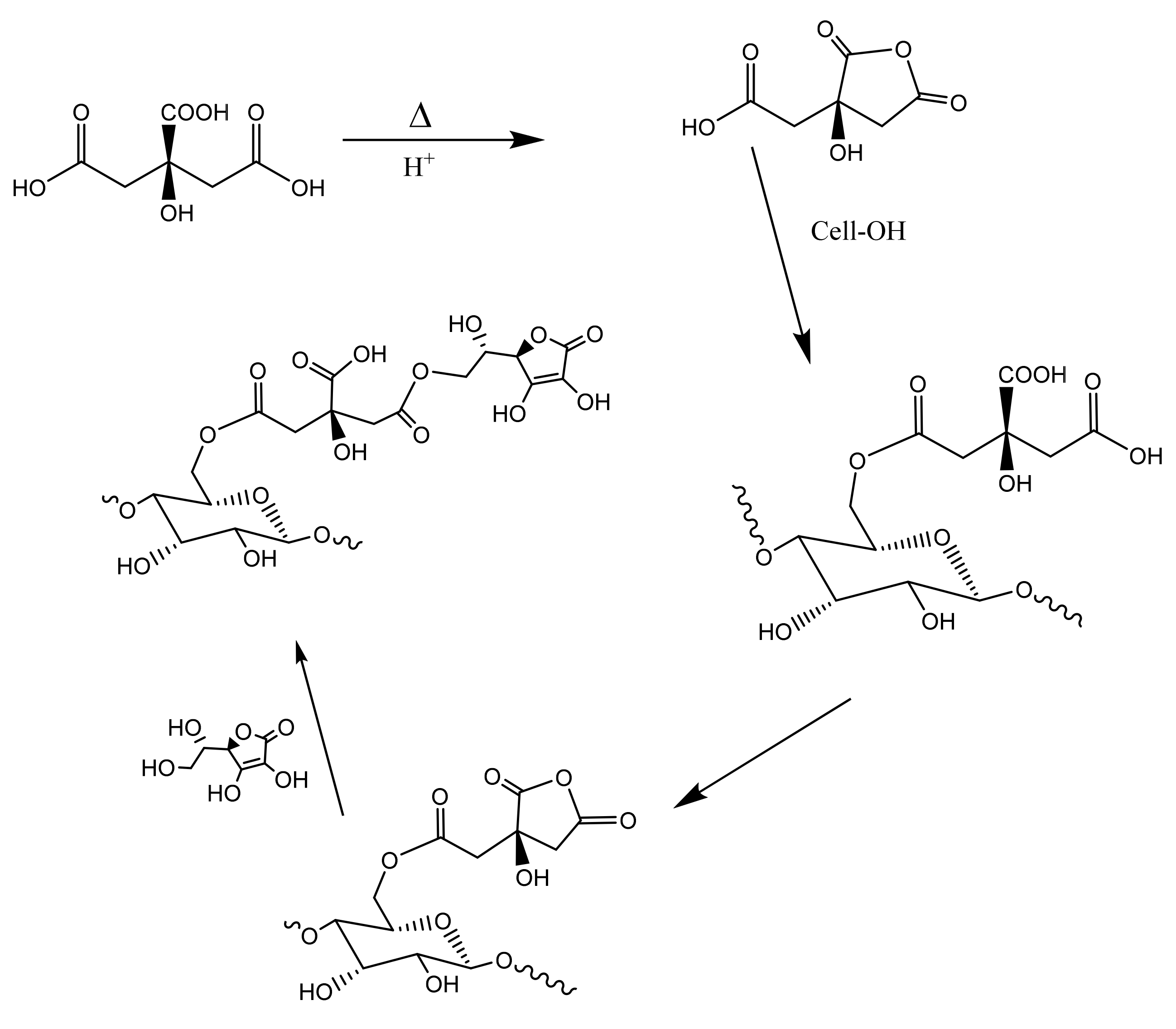 Ijms 23 03598 g004 550