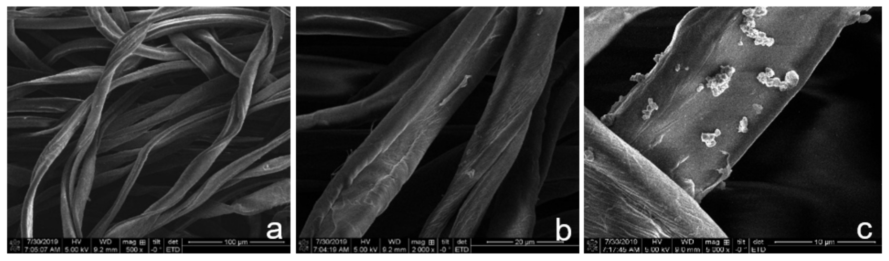 Ijms 23 03598 g007 550