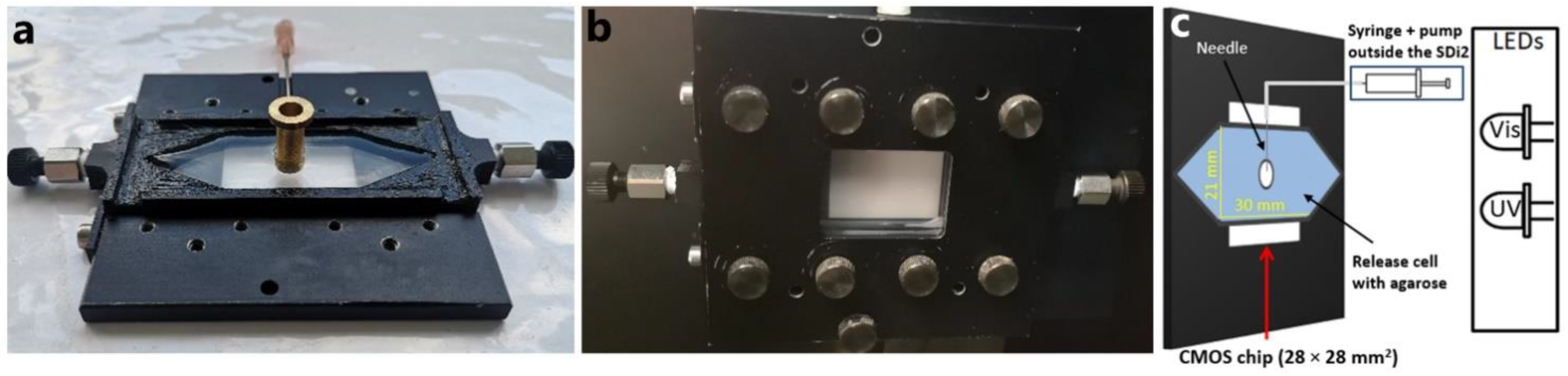 Ijms 23 03599 g001 550