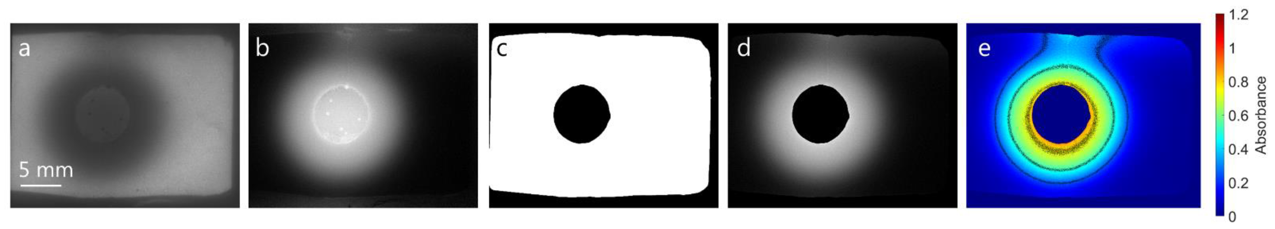 Ijms 23 03599 g003 550