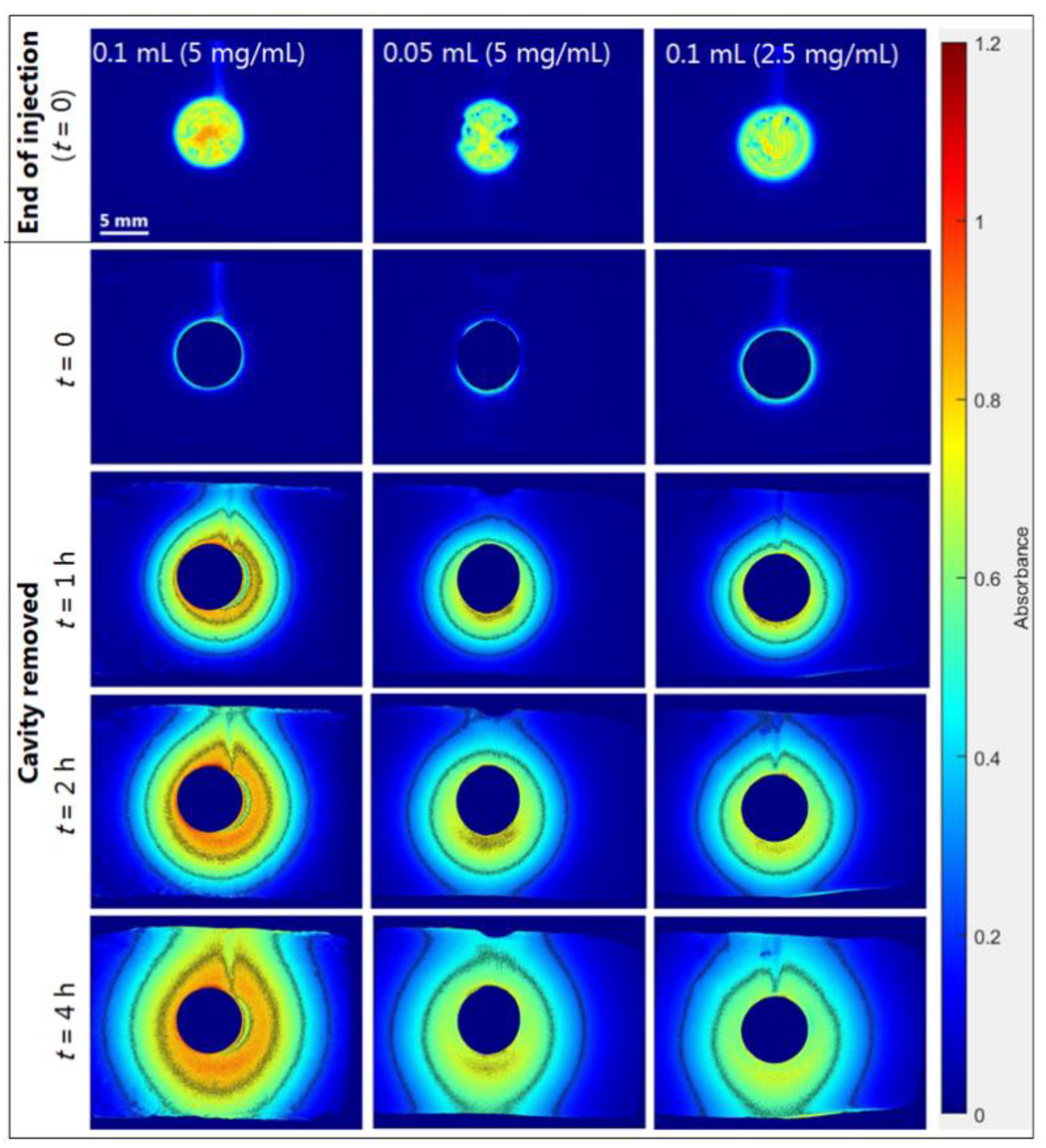 Ijms 23 03599 g006 550