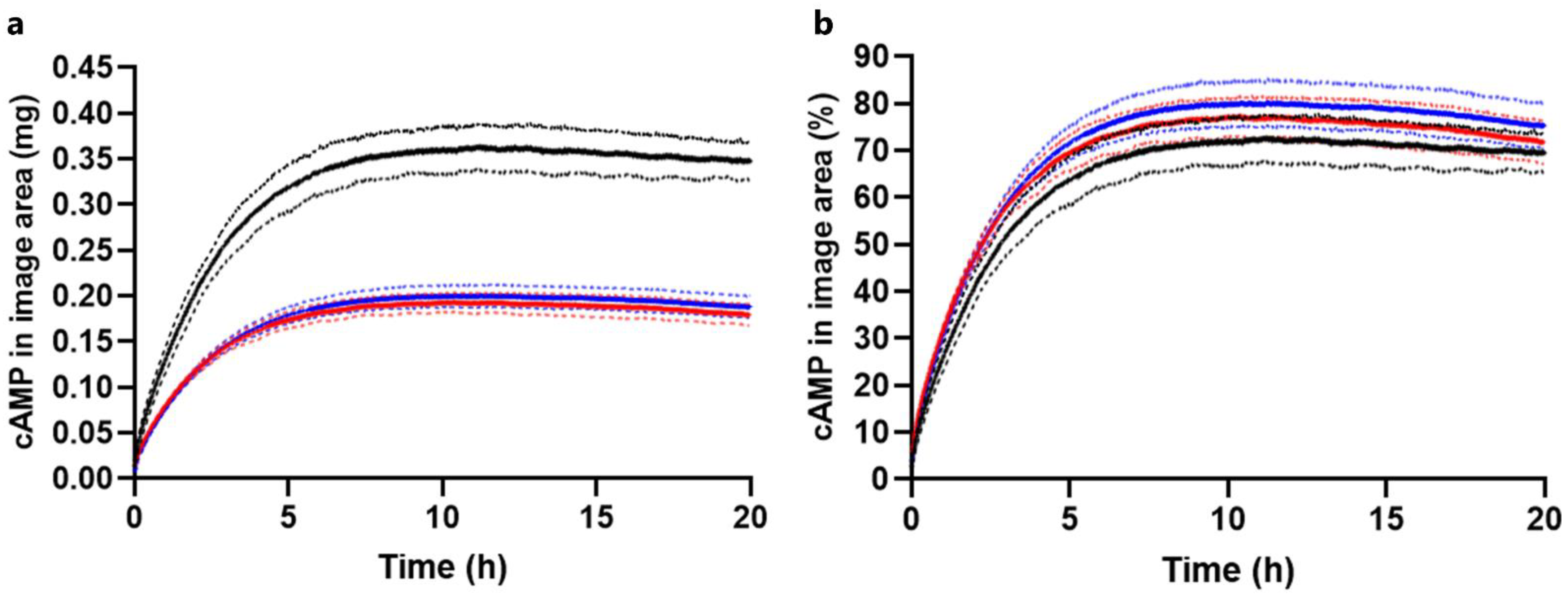 Ijms 23 03599 g007 550