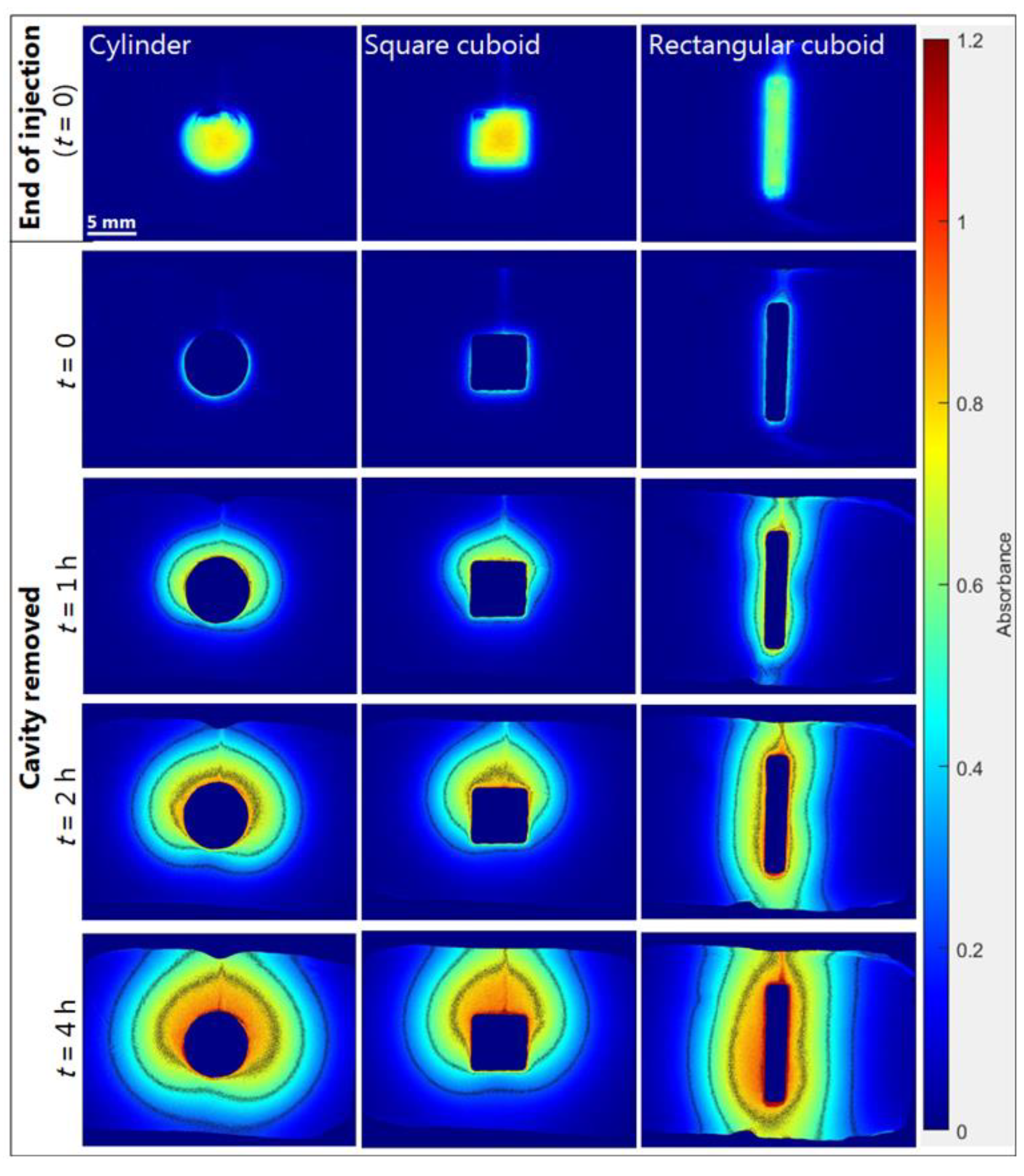 Ijms 23 03599 g008 550