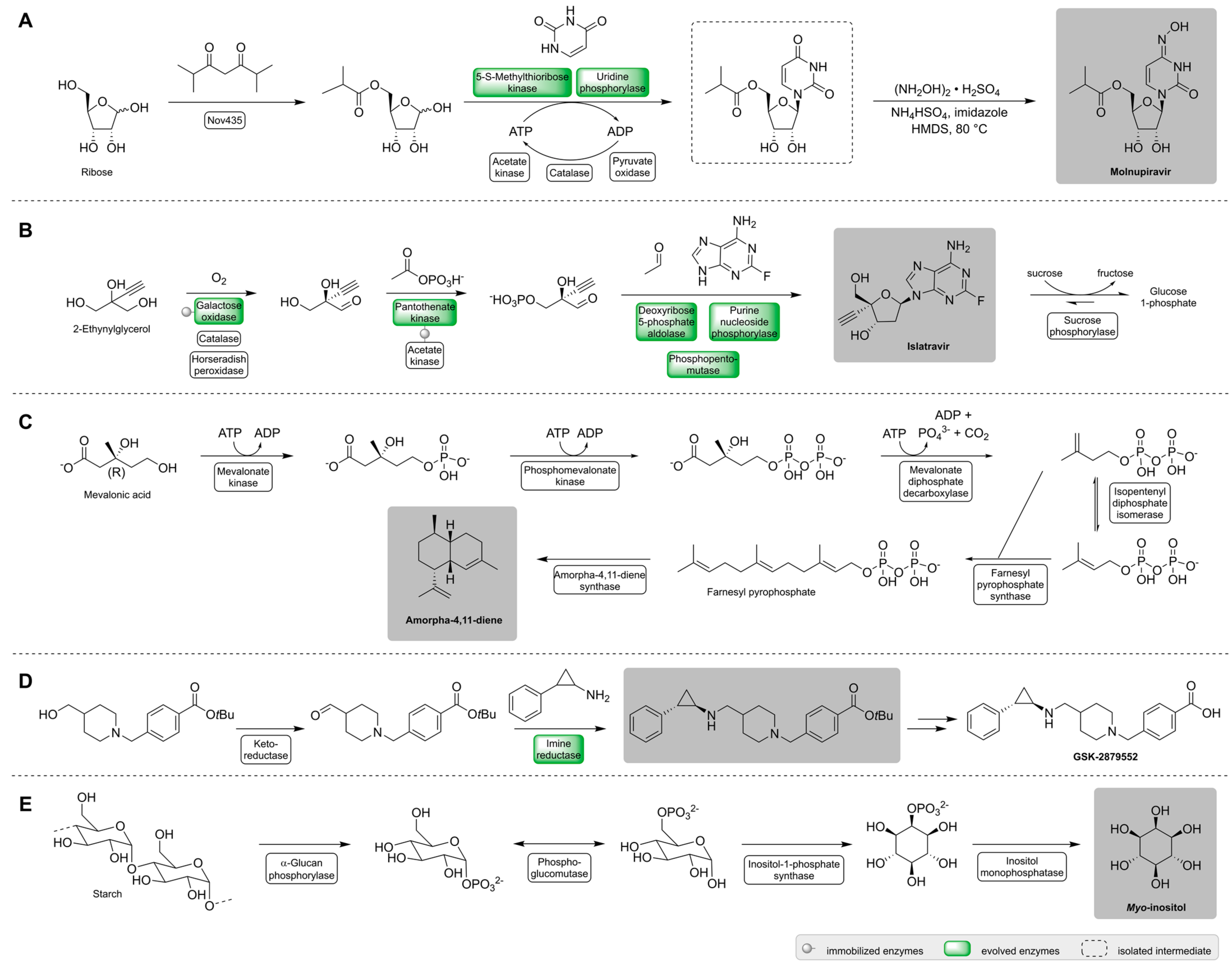 Ijms 23 03605 g001 550