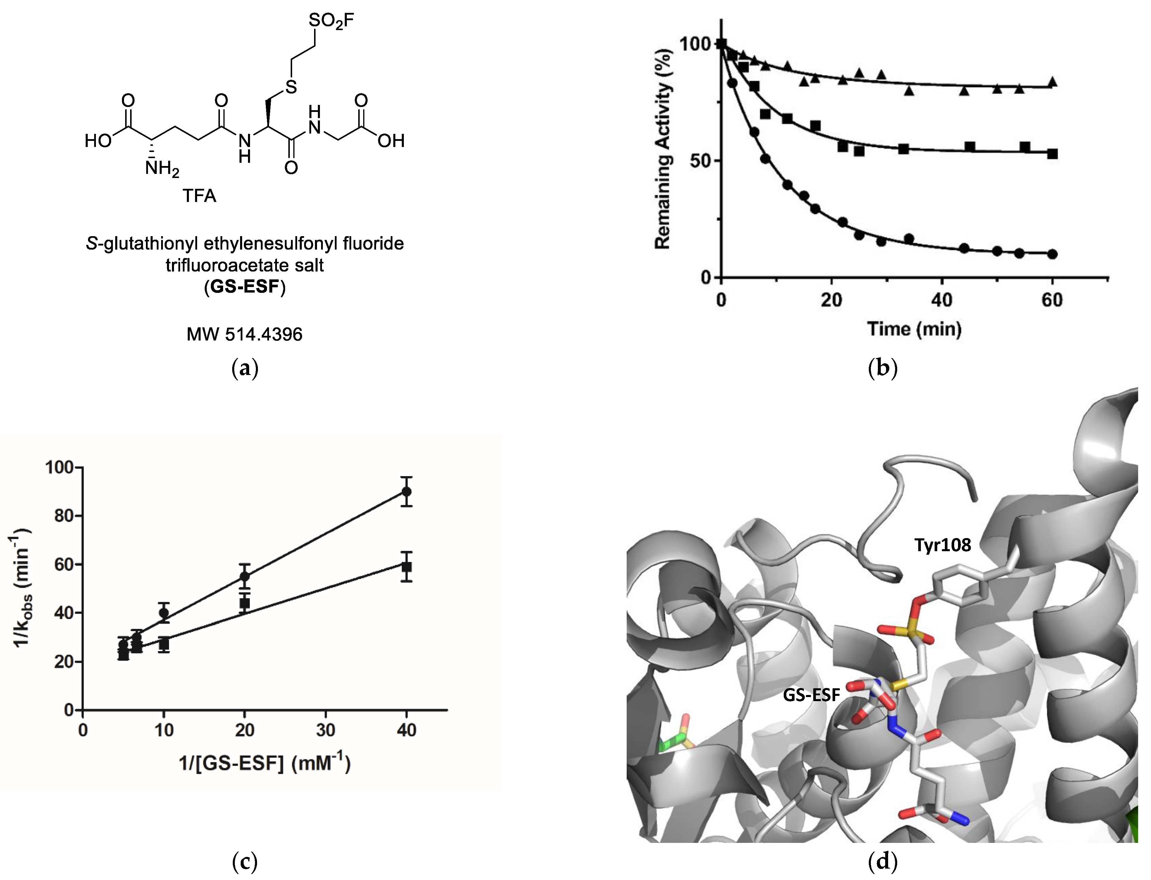 Ijms 23 03606 g004 550