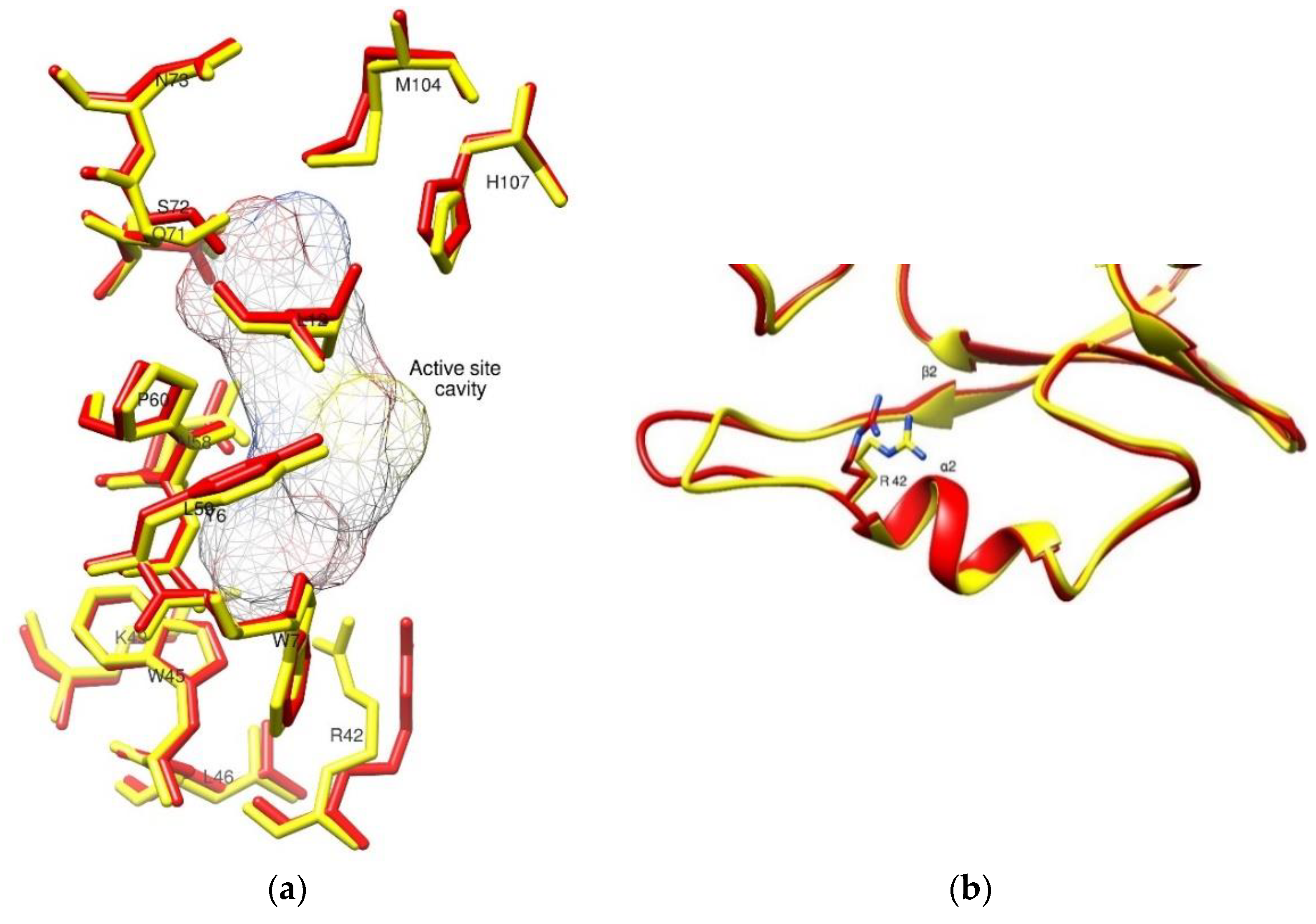 Ijms 23 03606 g005 550