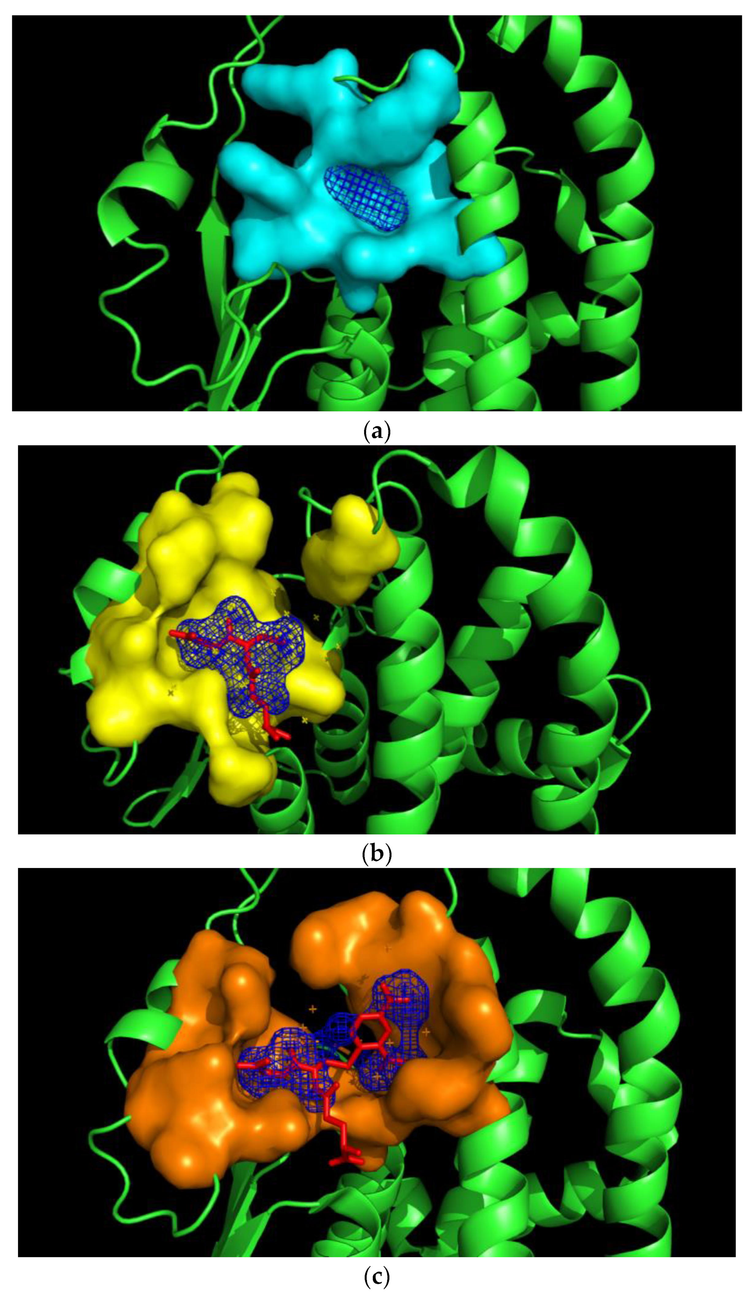 Ijms 23 03606 g007 550