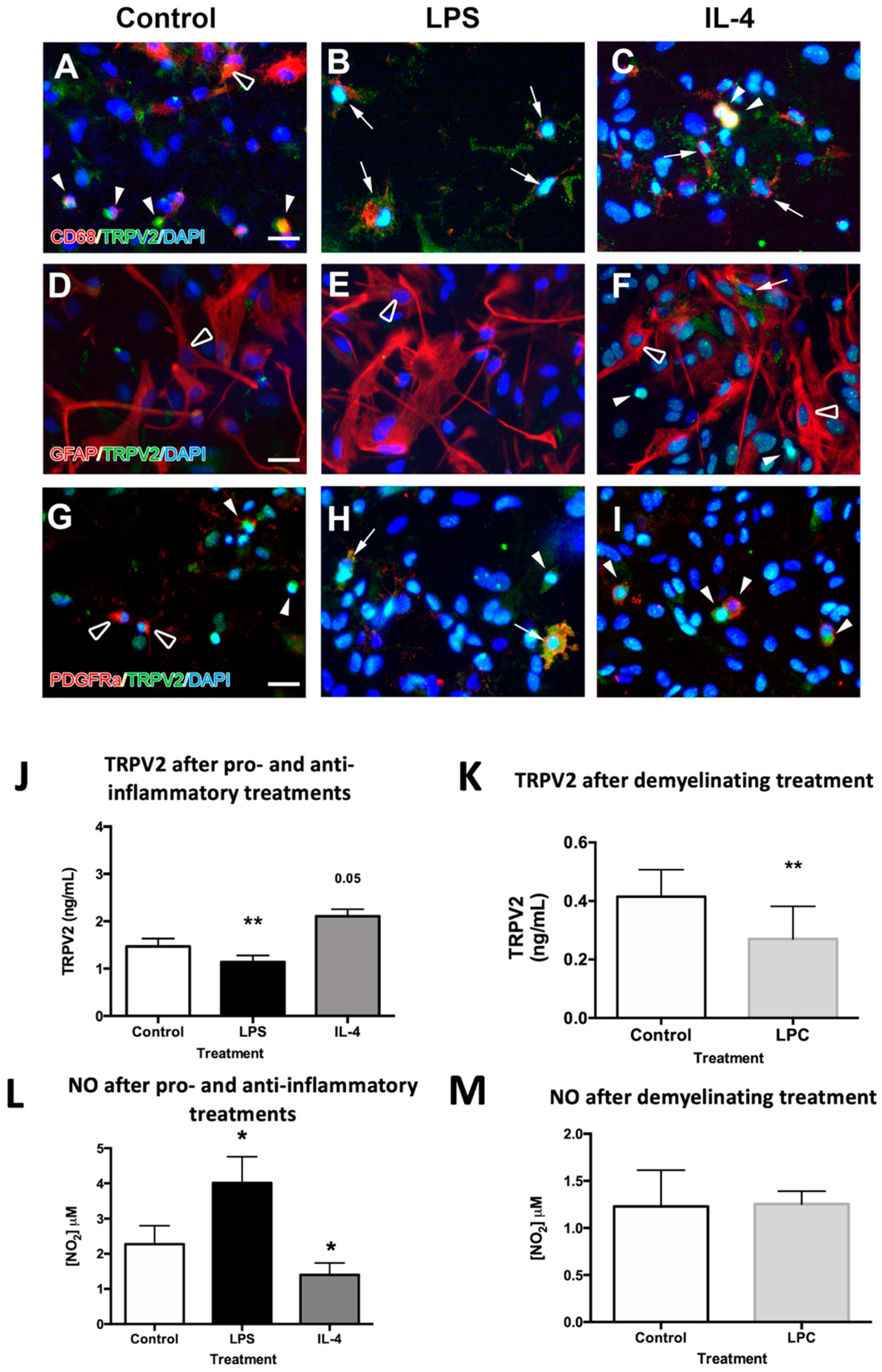 Ijms 23 03617 g002 550