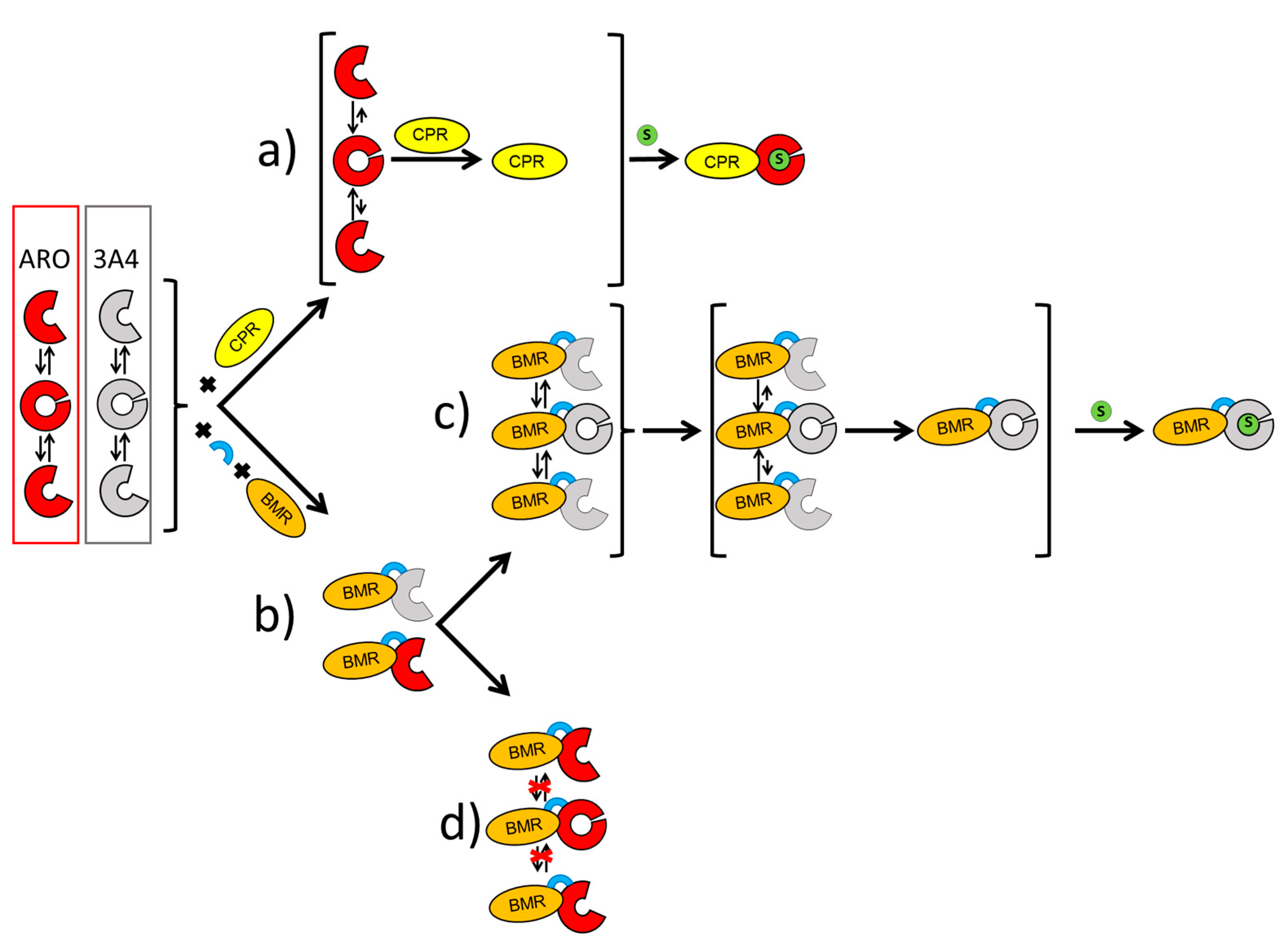 Ijms 23 03618 g005 550