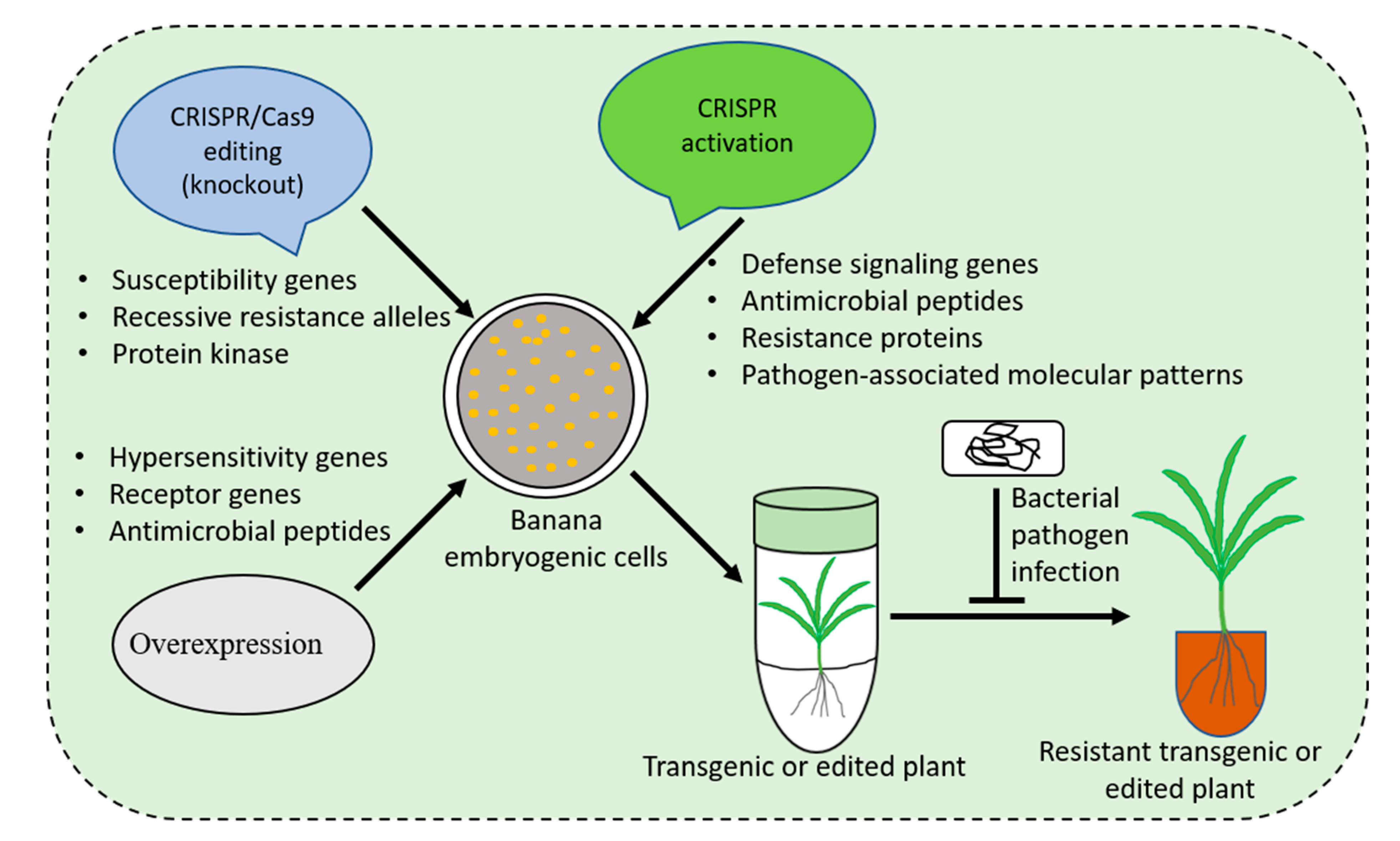 Ijms 23 03619 g001 550