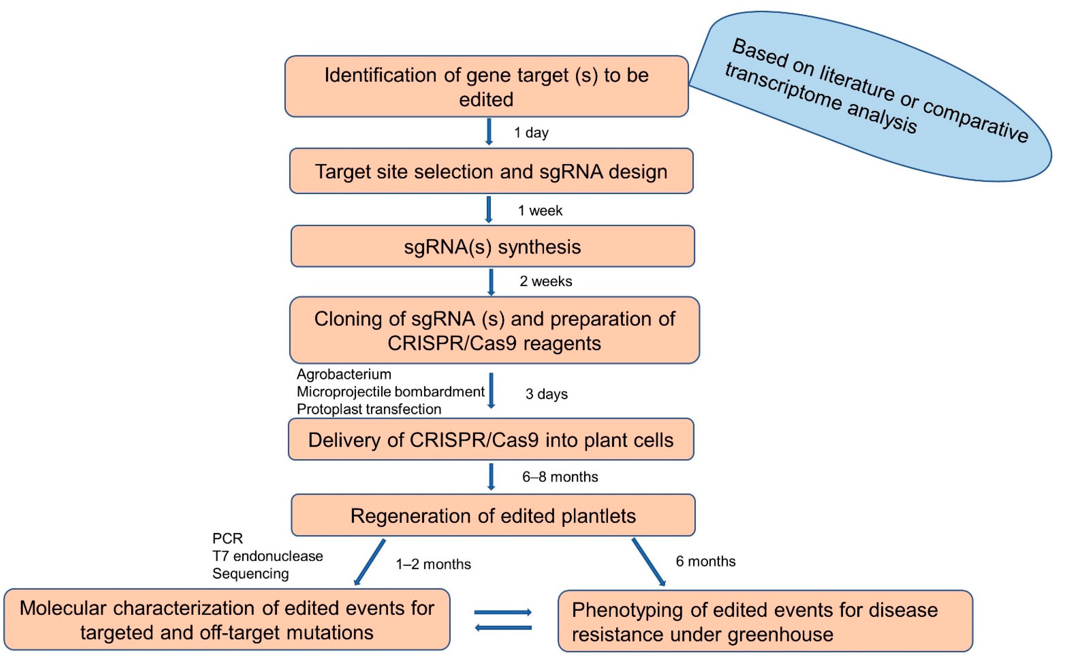 Ijms 23 03619 g002 550