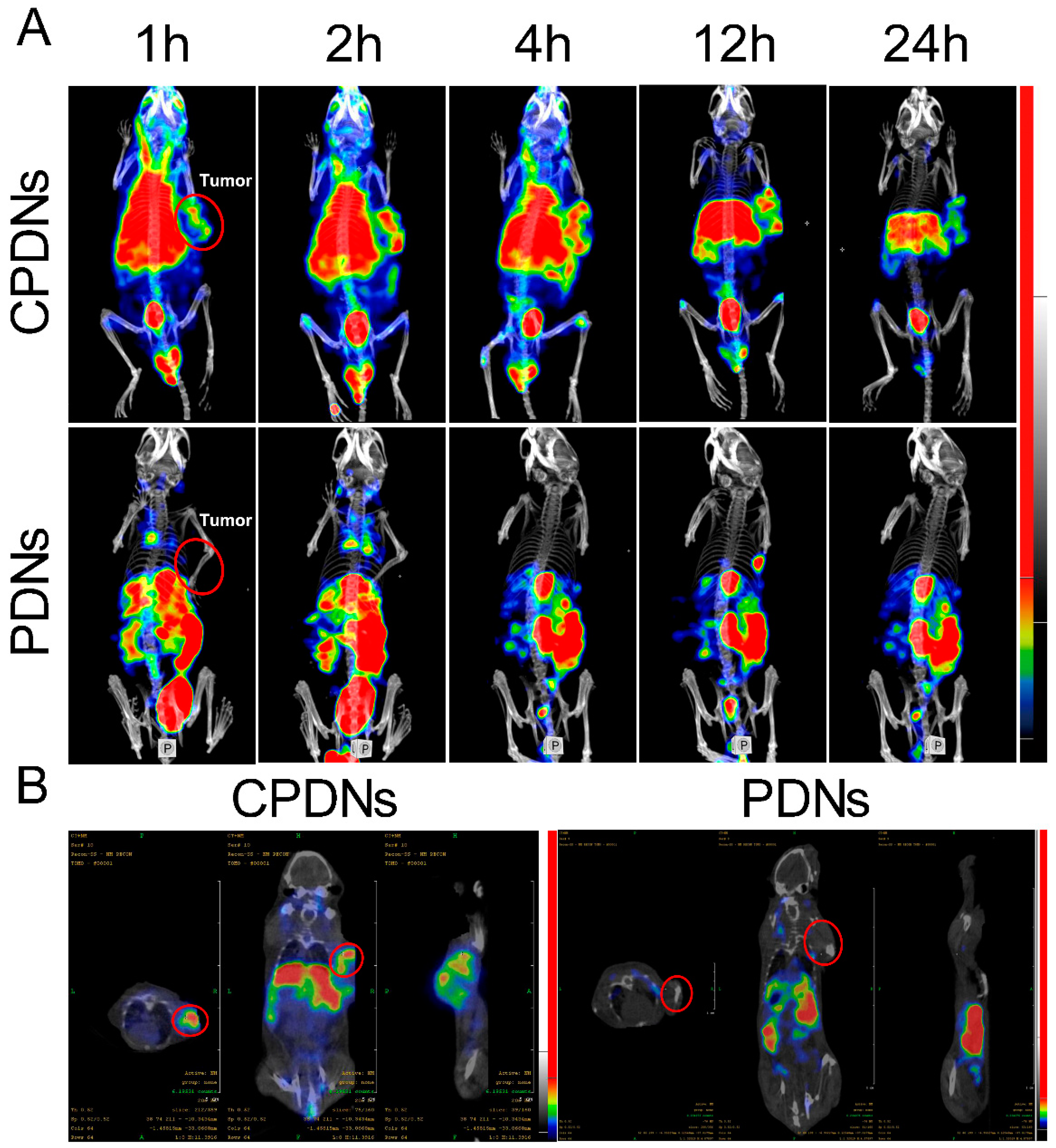 Ijms 23 03623 g005 550