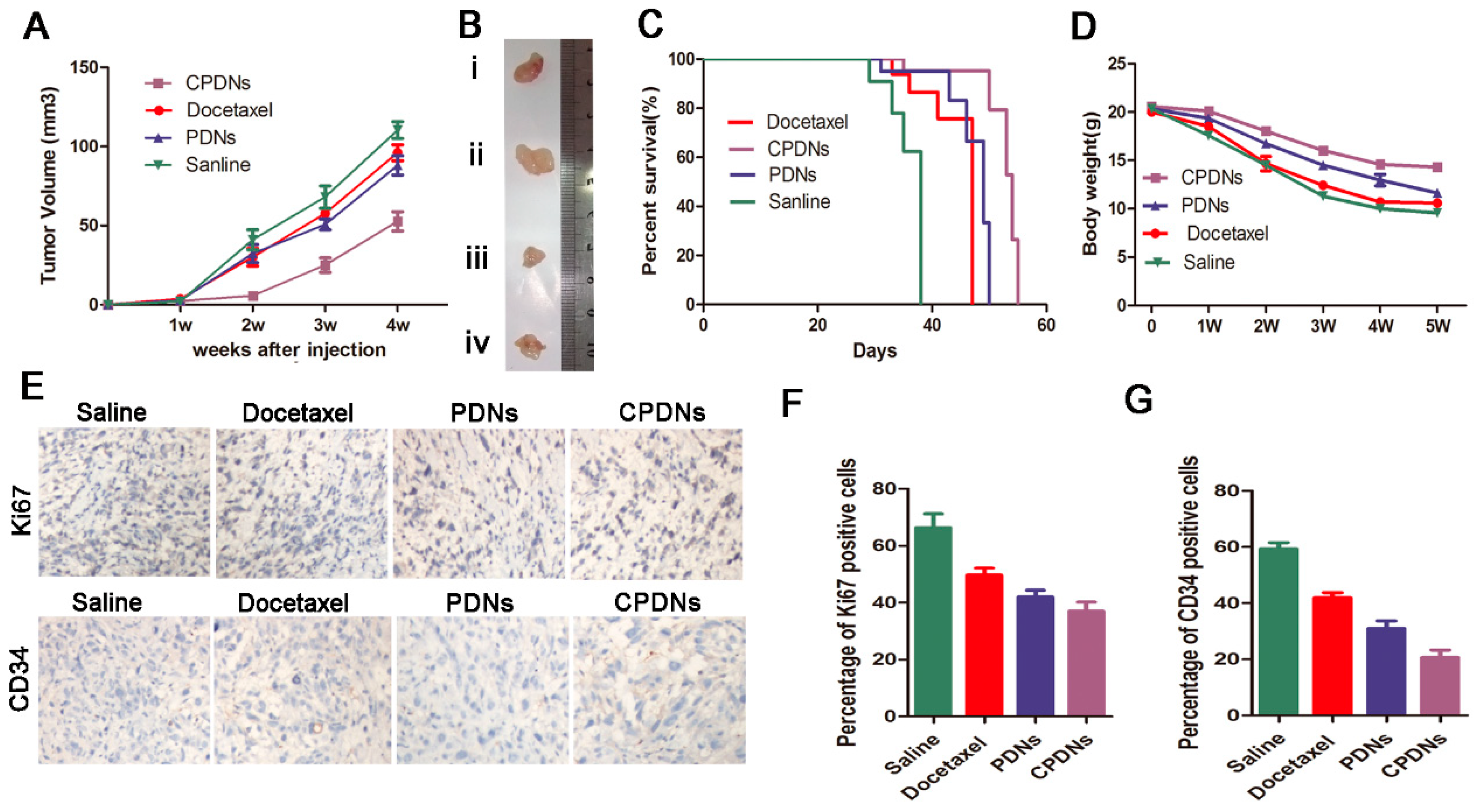Ijms 23 03623 g006 550