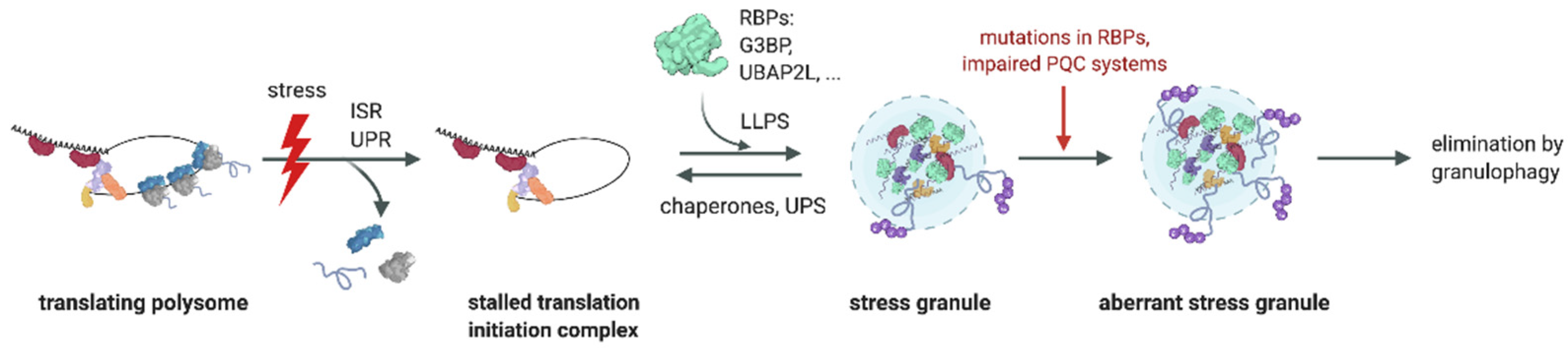 Ijms 23 03624 g001 550