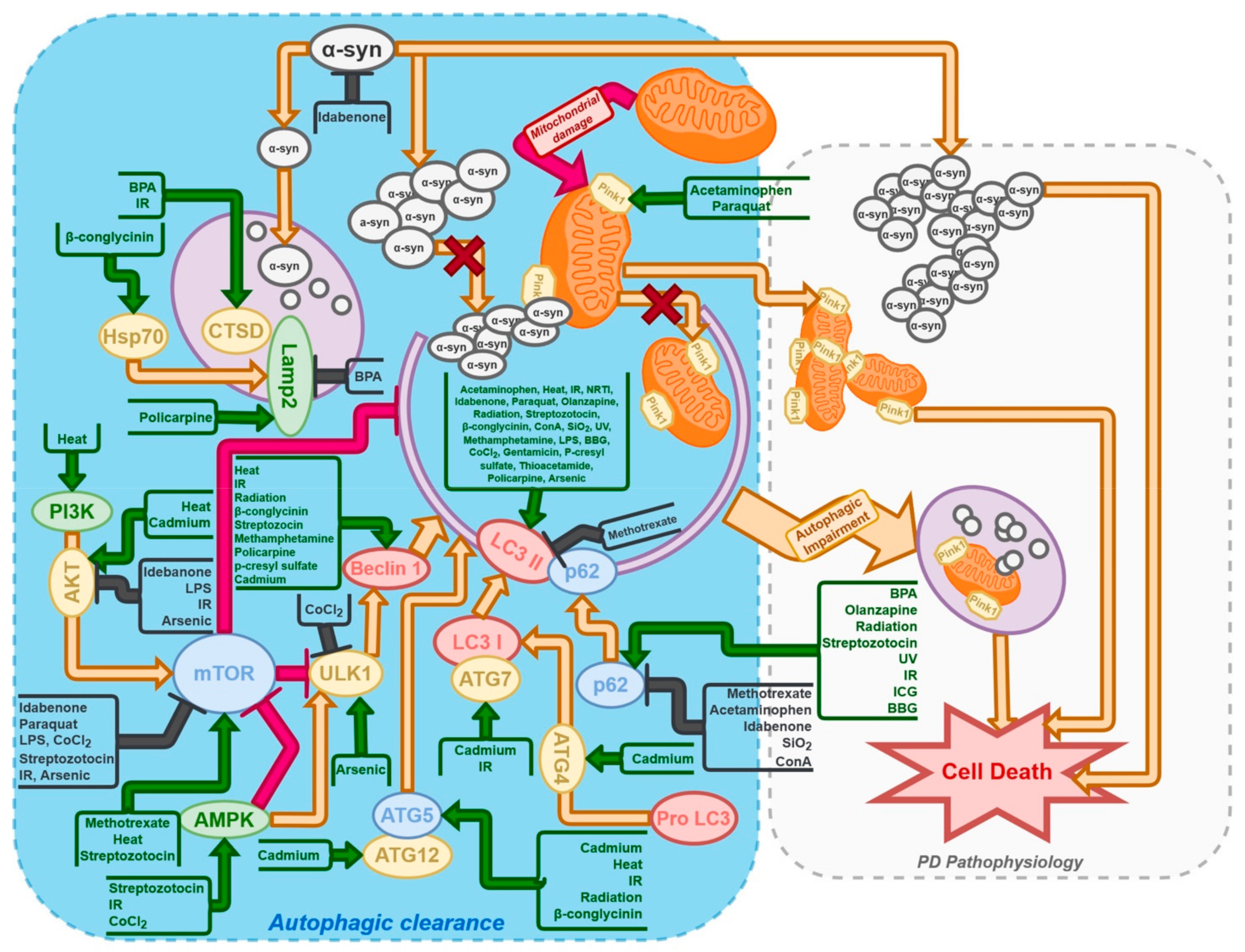 Ijms 23 03625 g001 550