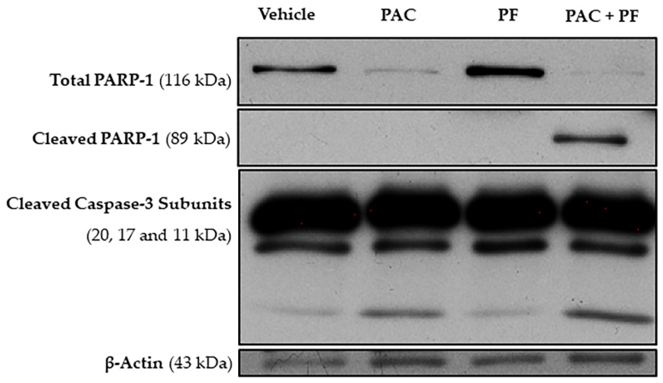 Ijms 23 03631 g006 550
