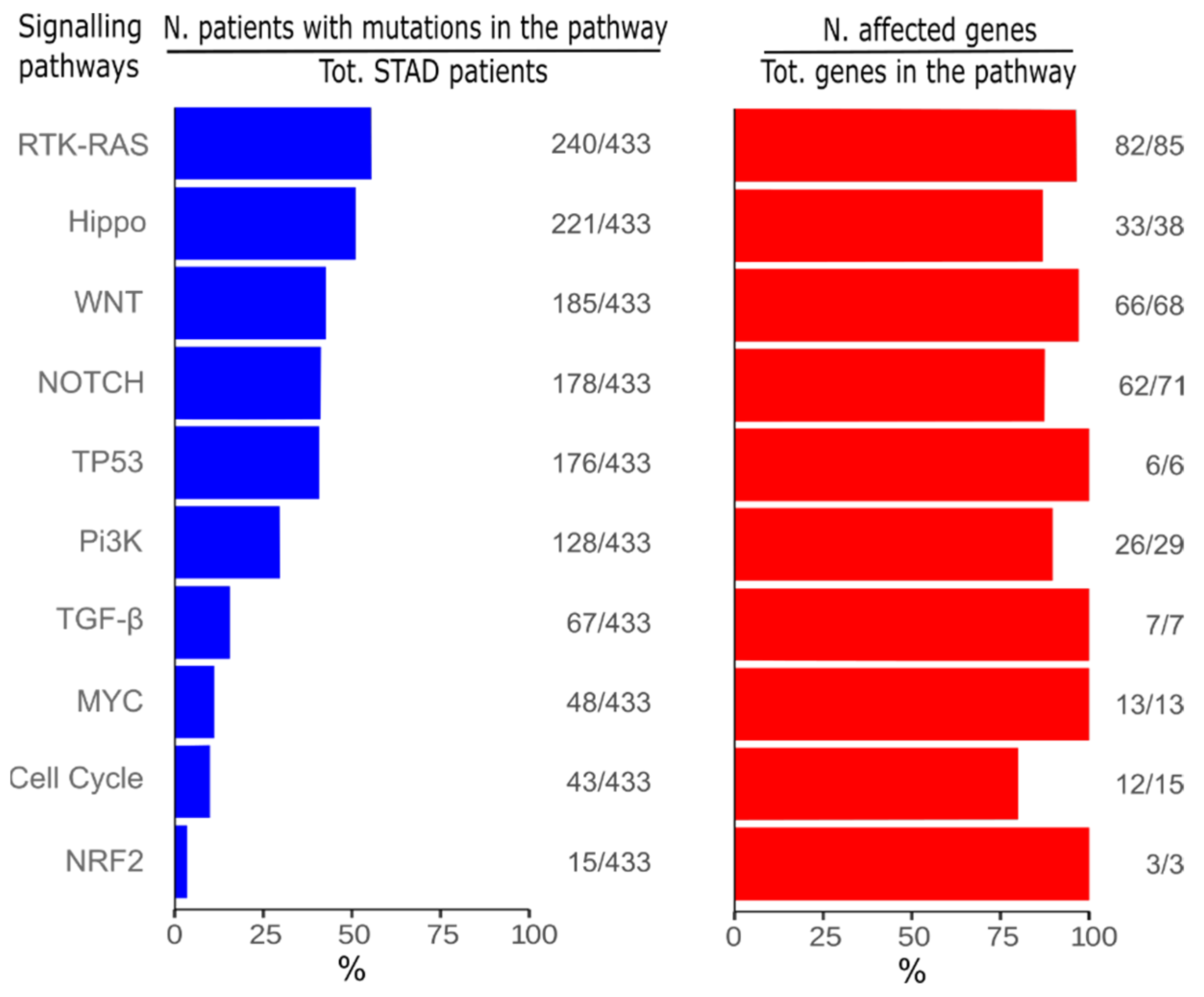 Ijms 23 03632 g002 Ijms 23 03632 g002