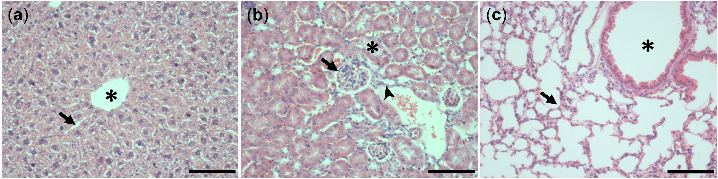 Ijms 23 03635 g003 550