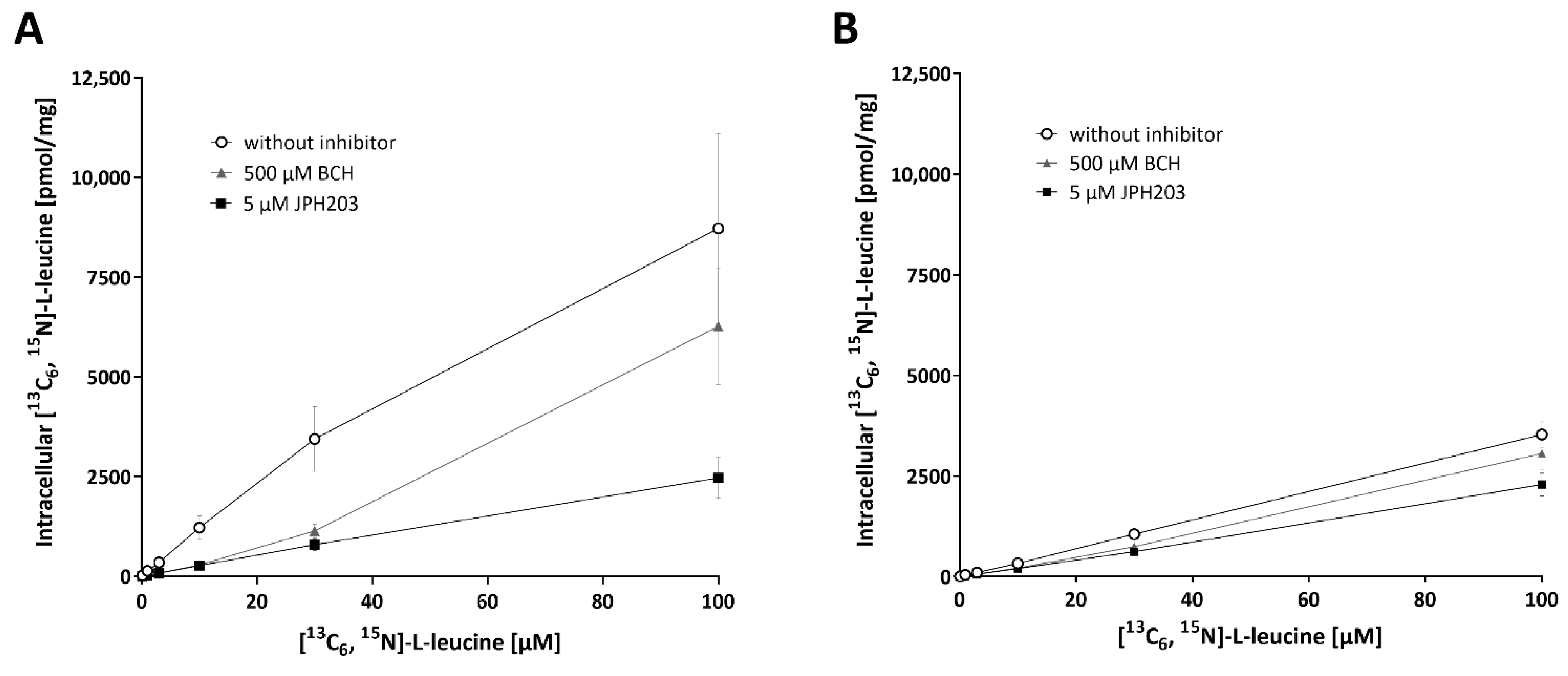 Ijms 23 03637 g004 550