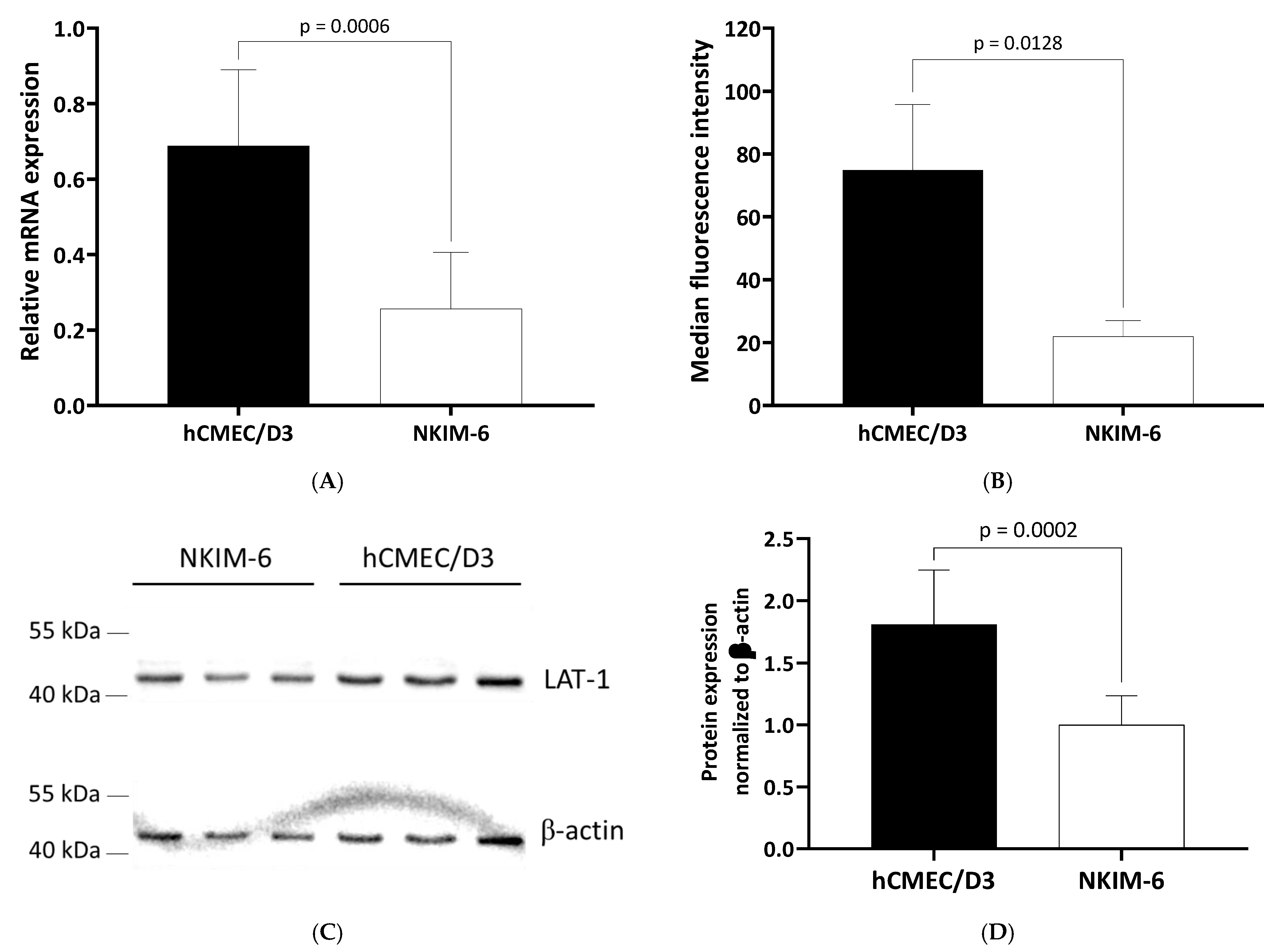Ijms 23 03637 g005 550
