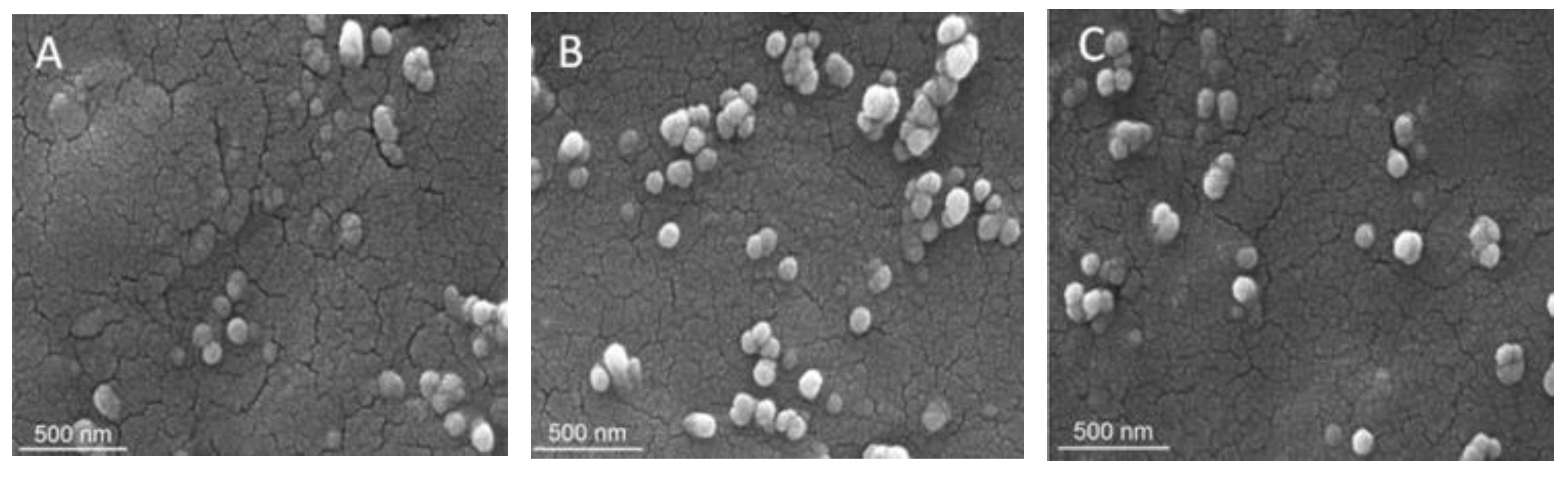 Ijms 23 03638 g002 550