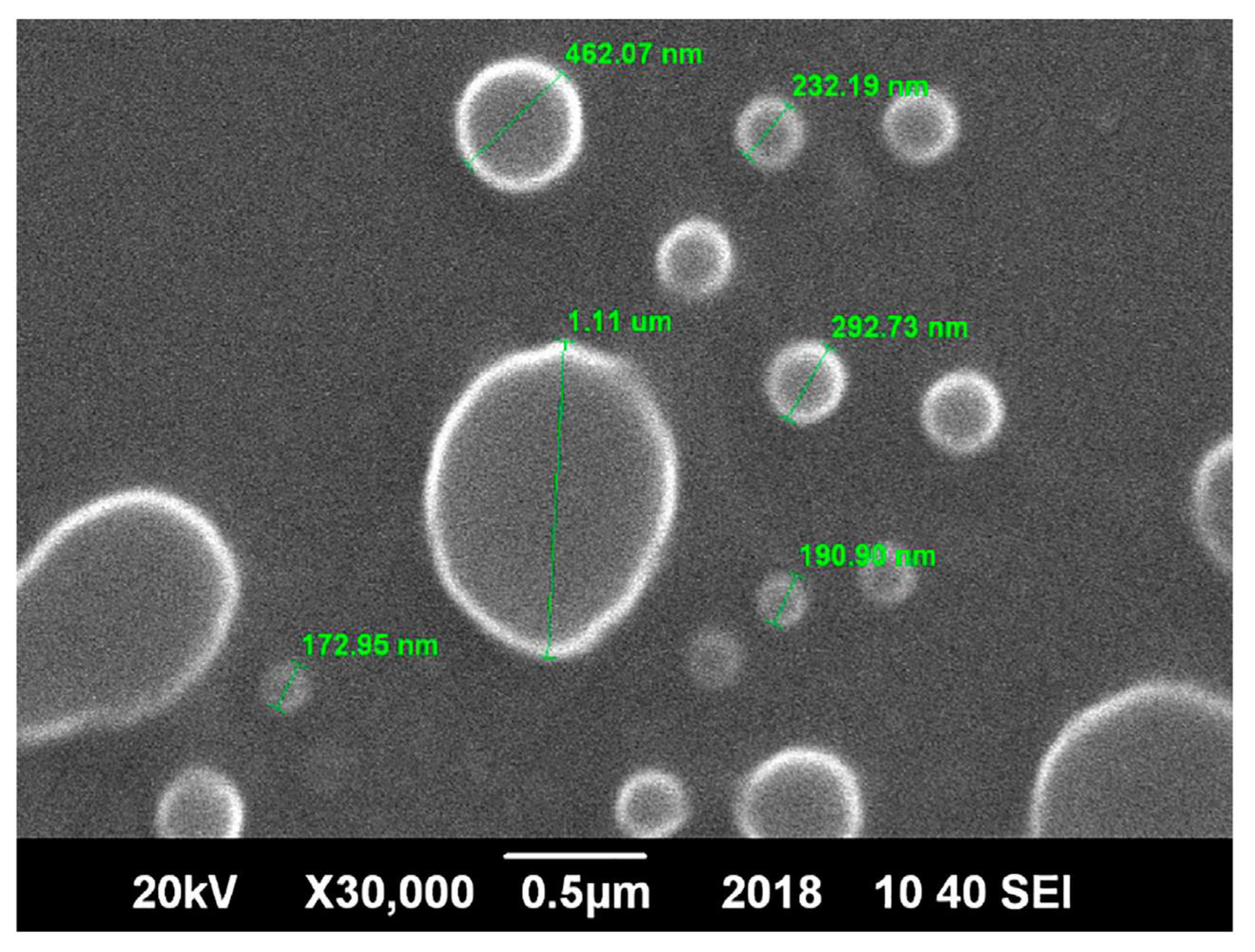 Ijms 23 03638 g003 550