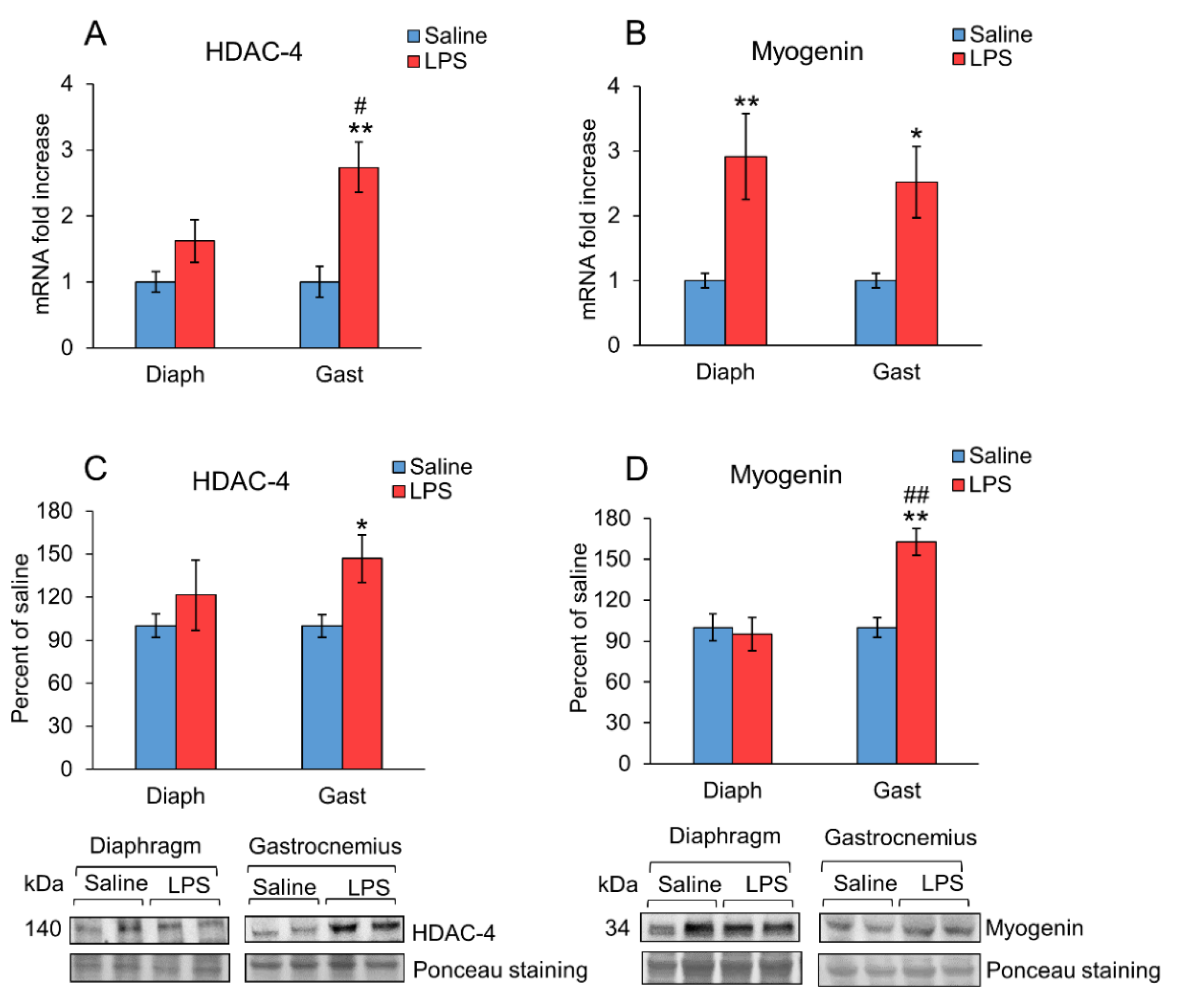 Ijms 23 03641 g005 Ijms 23 03641 g005