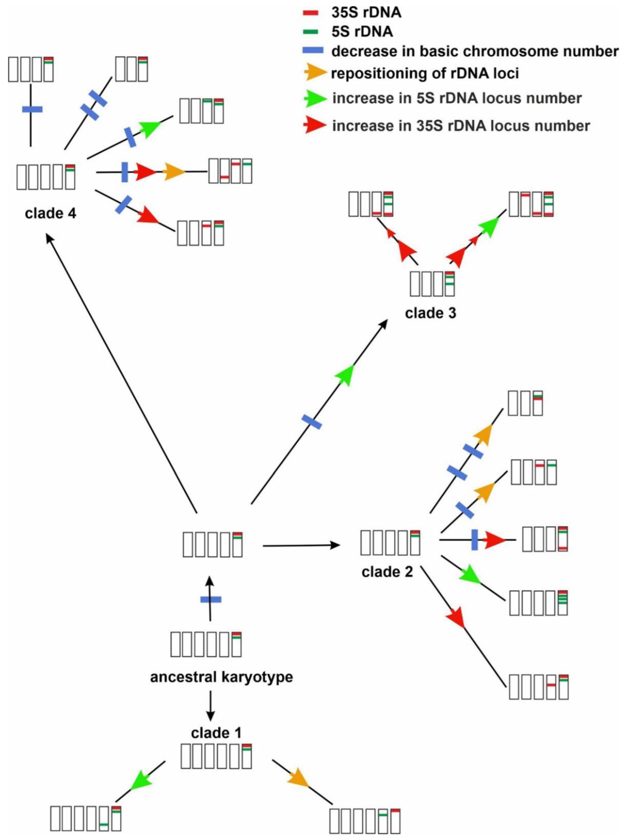 Ijms 23 03643 g008 Ijms 23 03643 g008