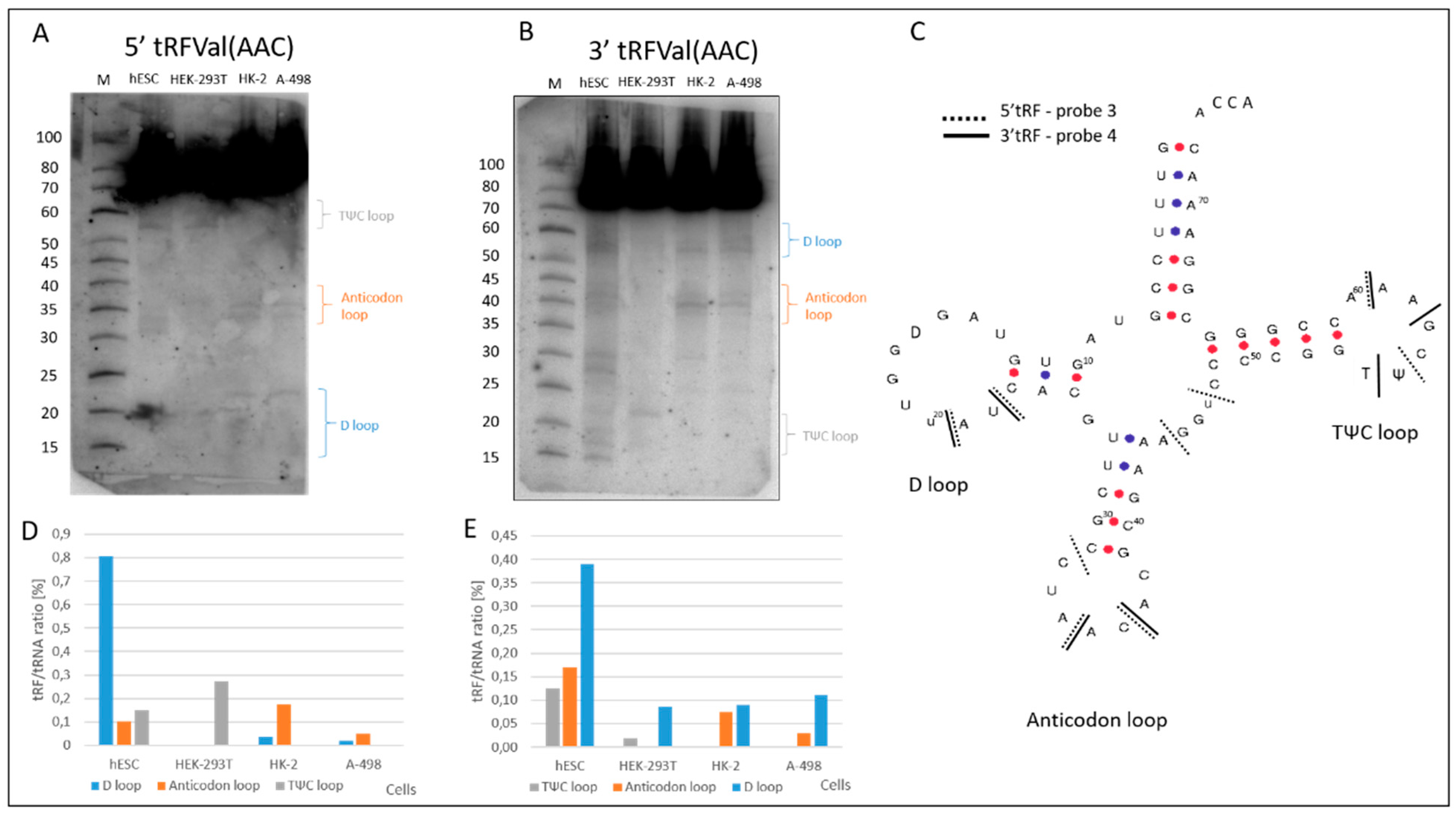Ijms 23 03644 g004 550