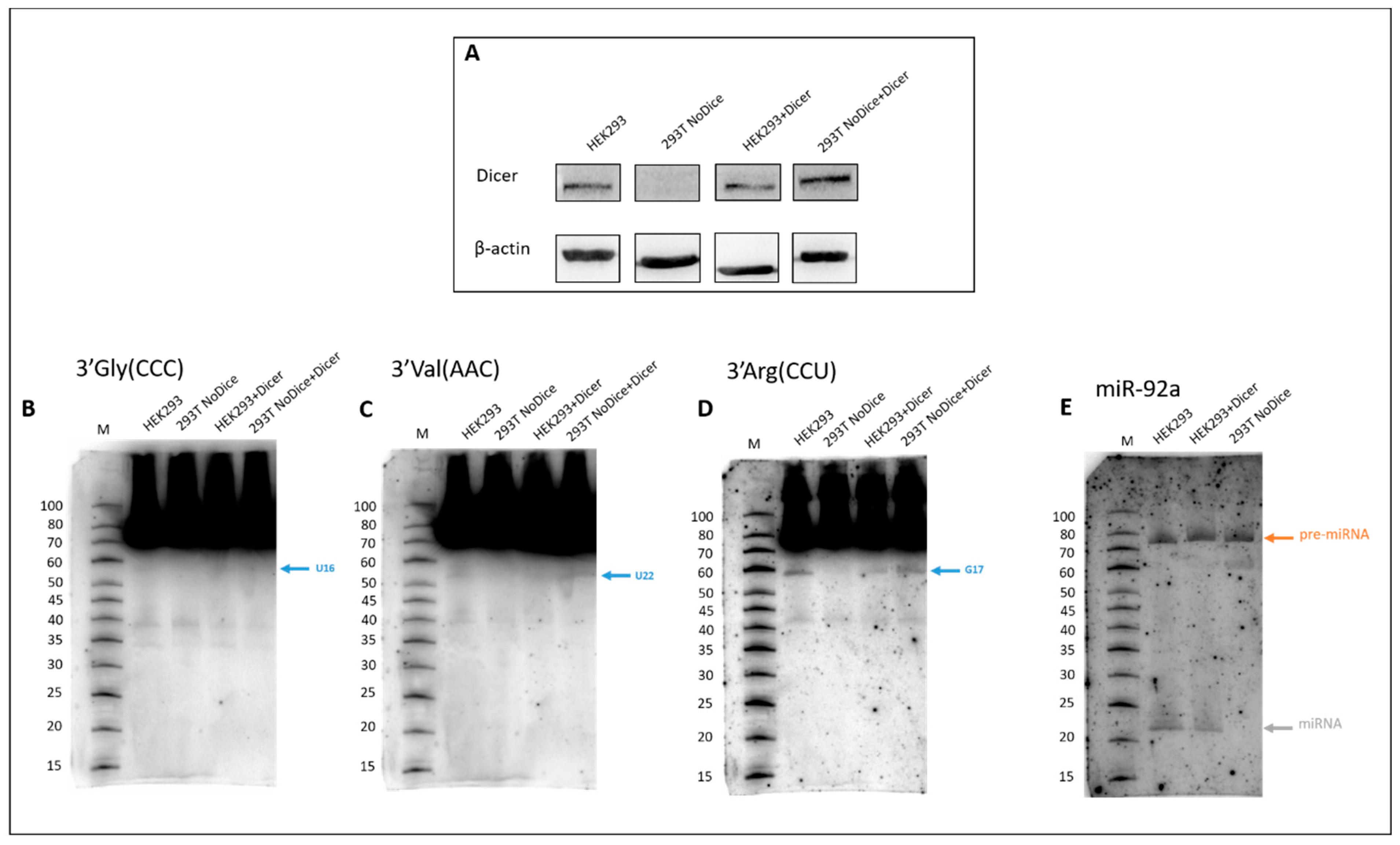 Ijms 23 03644 g006 550